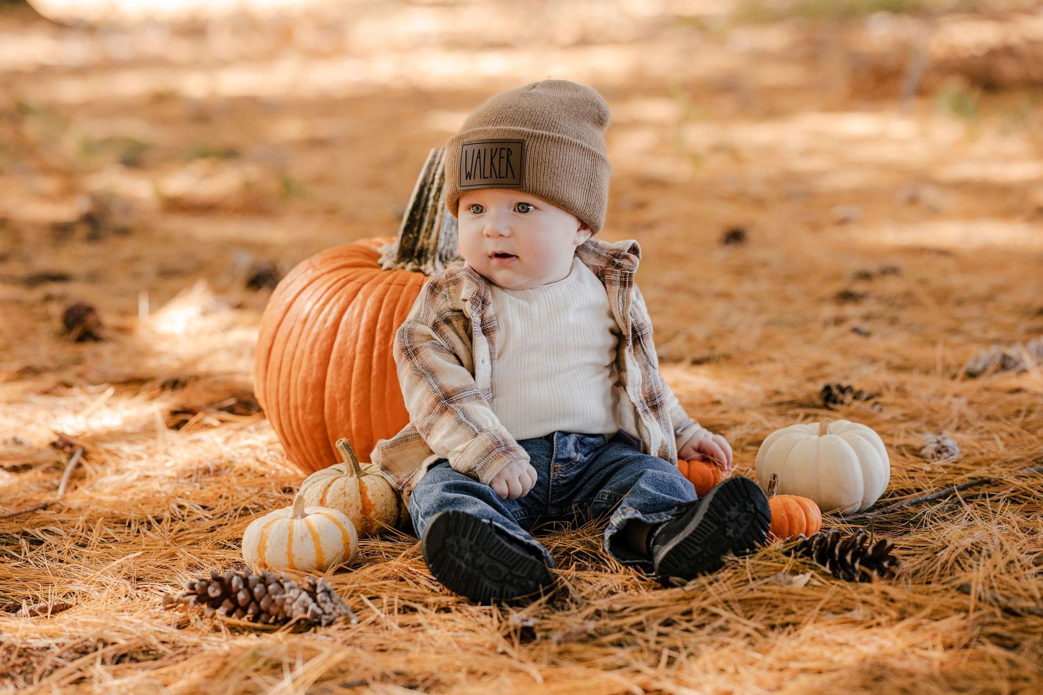 Baby sits among pumpkins and pine cones on a forest floor wearing a tan beanie, flannel shirt and jeans for a fall photo.
