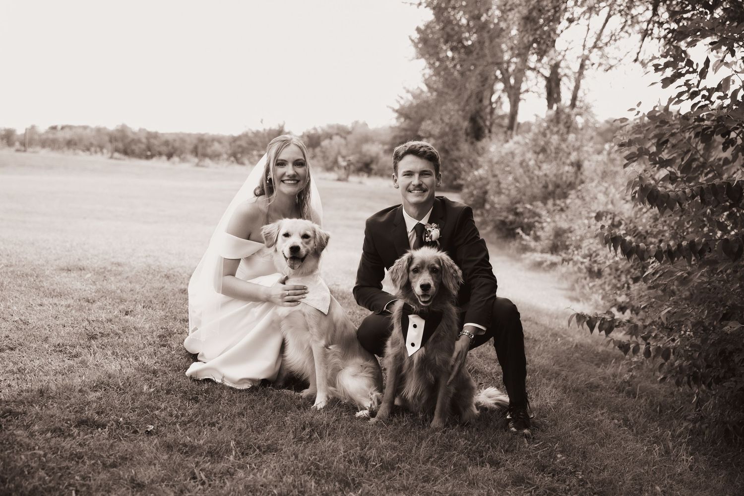 Bride and groom pose on the grass with two dogs in a sepia wedding portrait near a field and trees.
