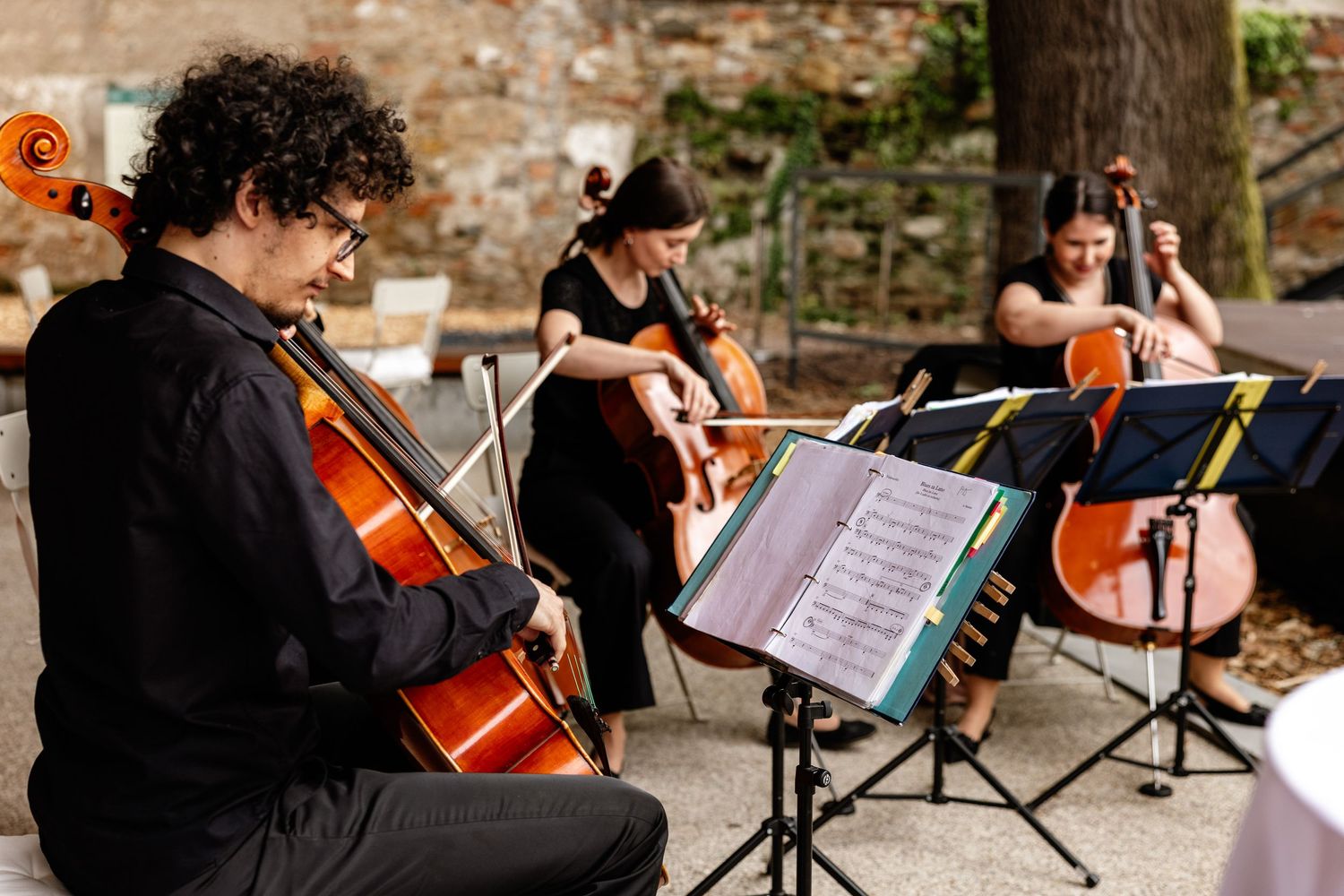 Three musicians playing cellos outdoors at an elegant garden event, reading sheet music on stands.