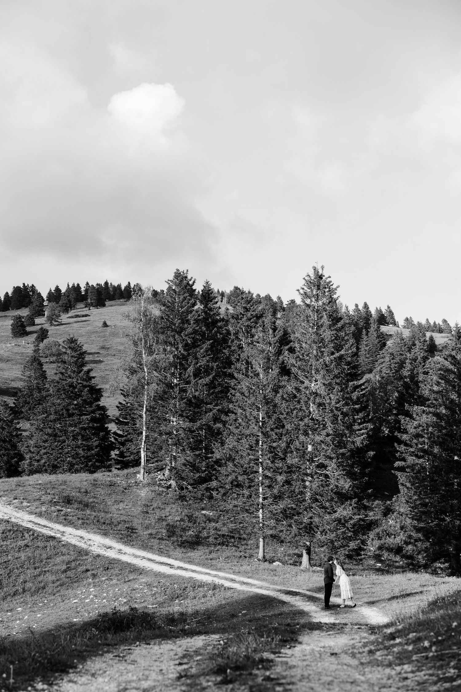 Black and white photo of a couple standing on a mountain path surrounded by tall pine trees under a cloudy sky.