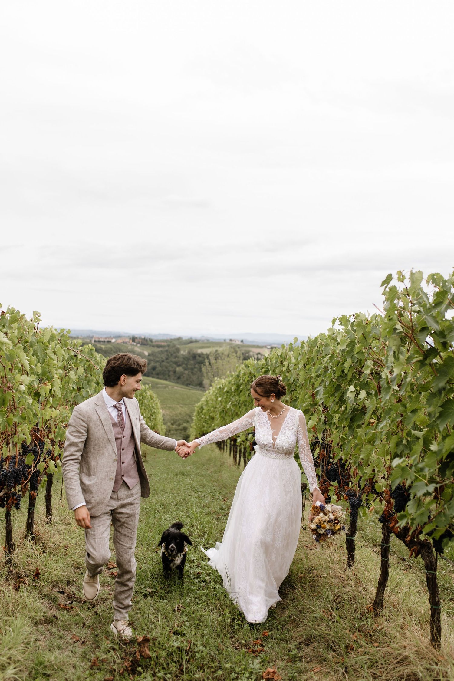 Bride and groom walk hand in hand through vineyard rows with small black dog.