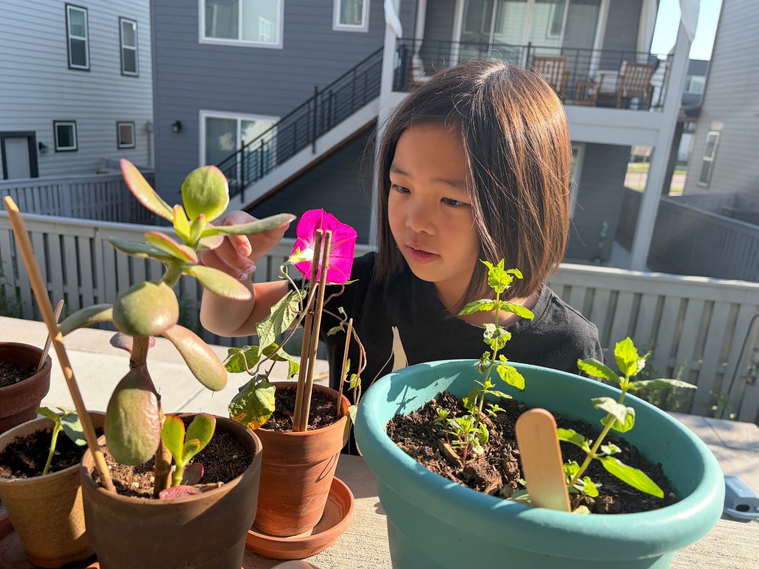 Morning glory flower and kid.