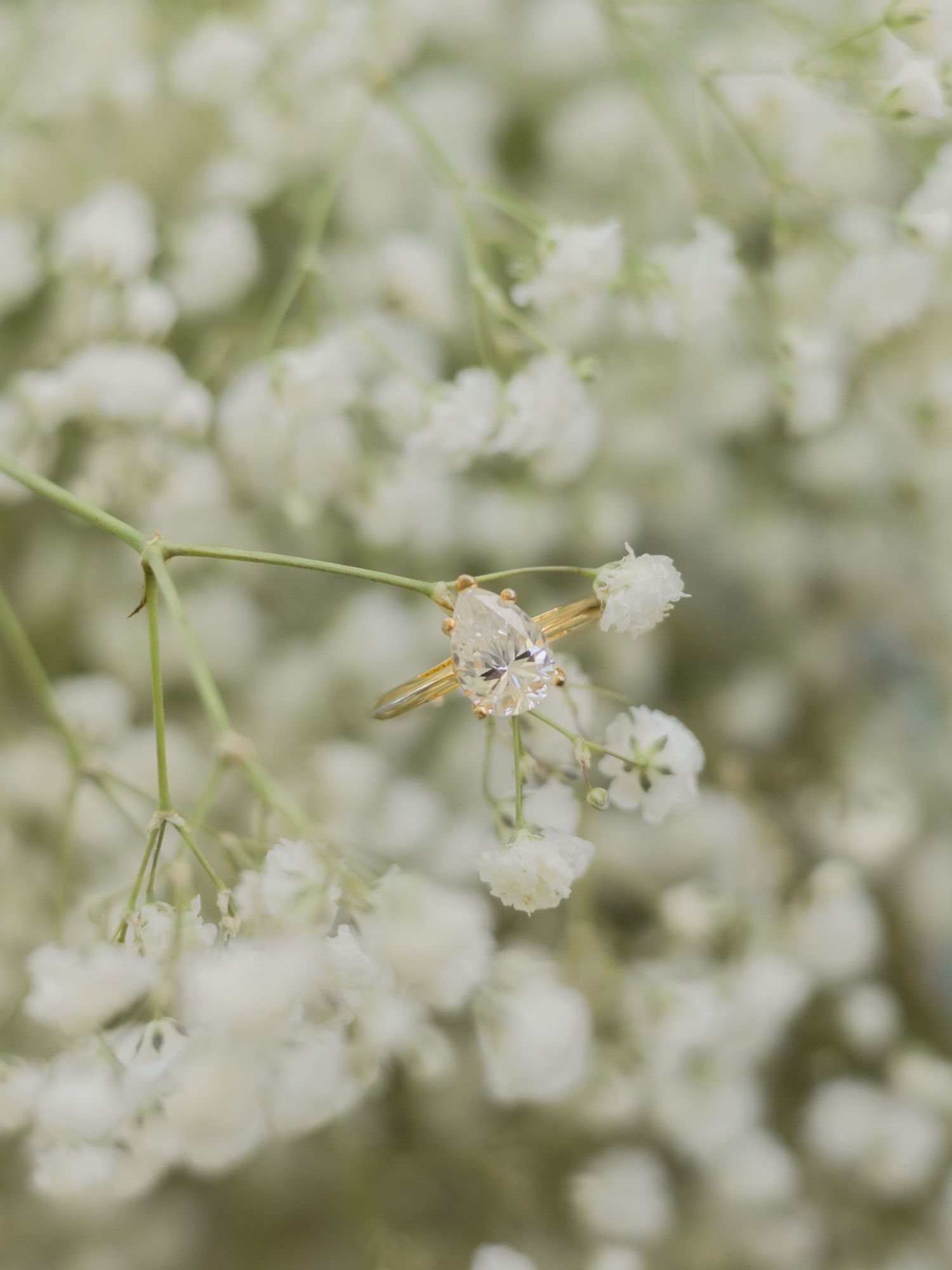 Diamond engagement ring nestled among delicate white baby's breath flowers close-up.