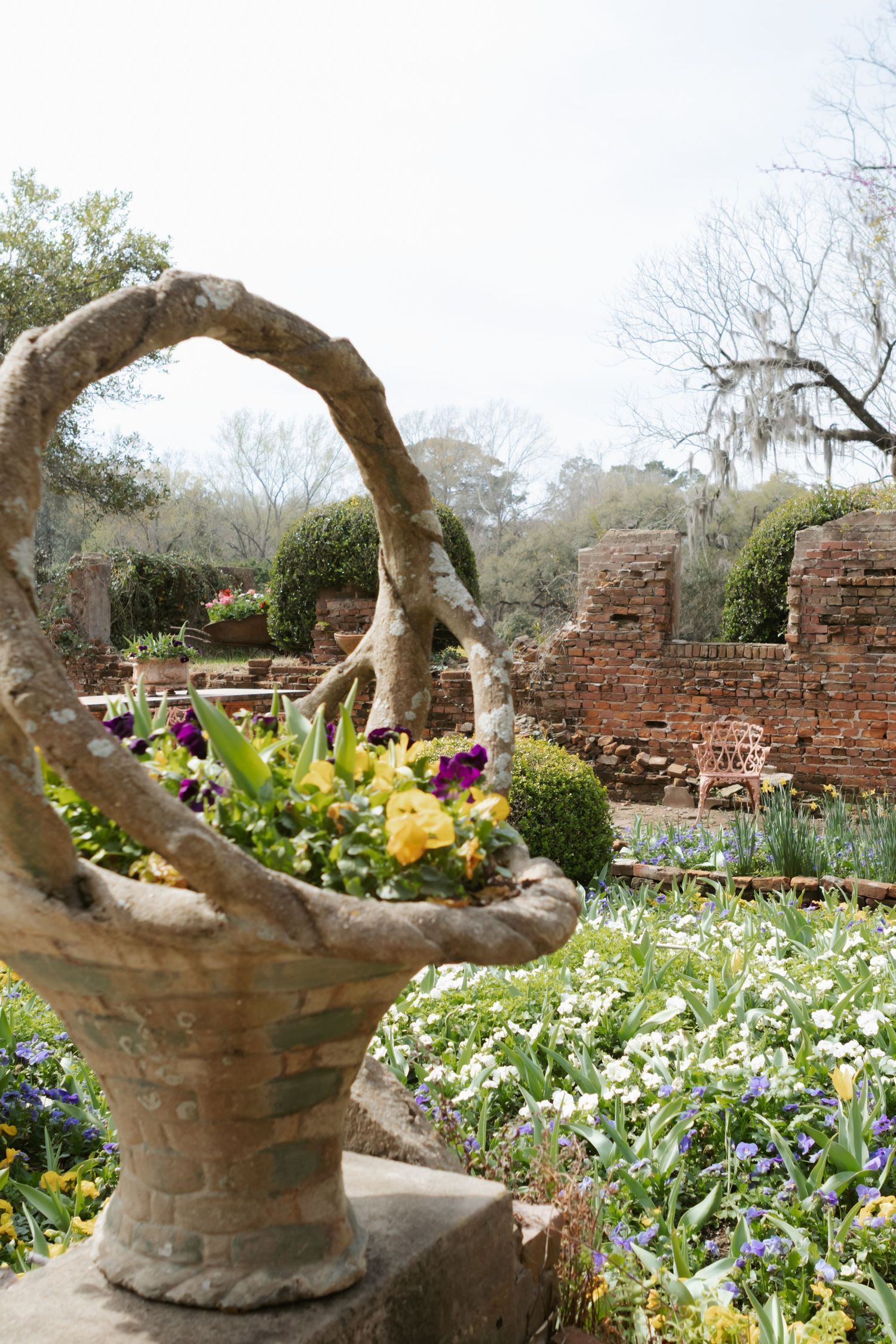 Stone basket planter with colorful pansies in a formal garden with brick walls and manicured hedges.