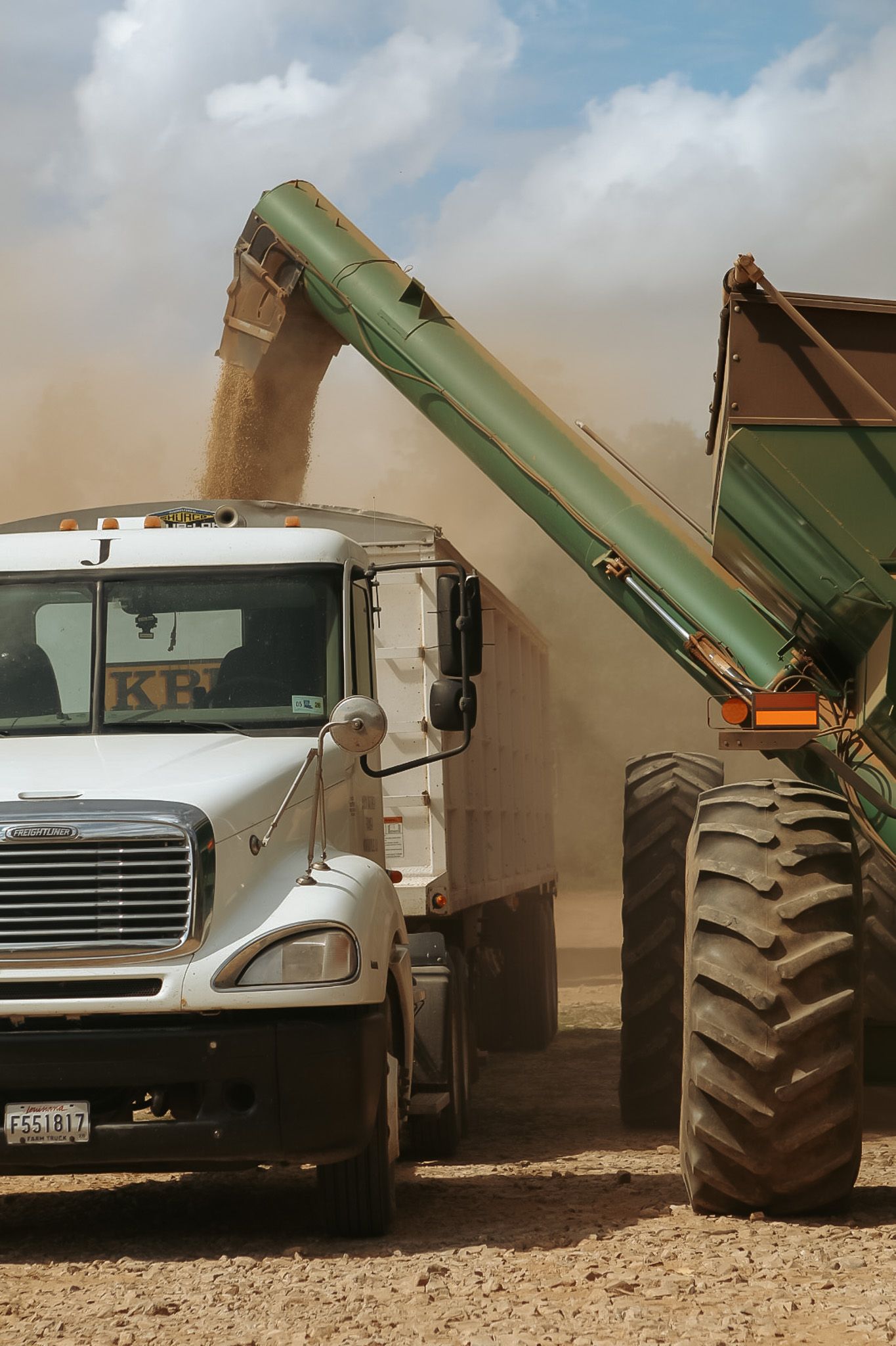 Green grain auger transferring harvested crops into a white semi-truck during dusty farm harvest operations.