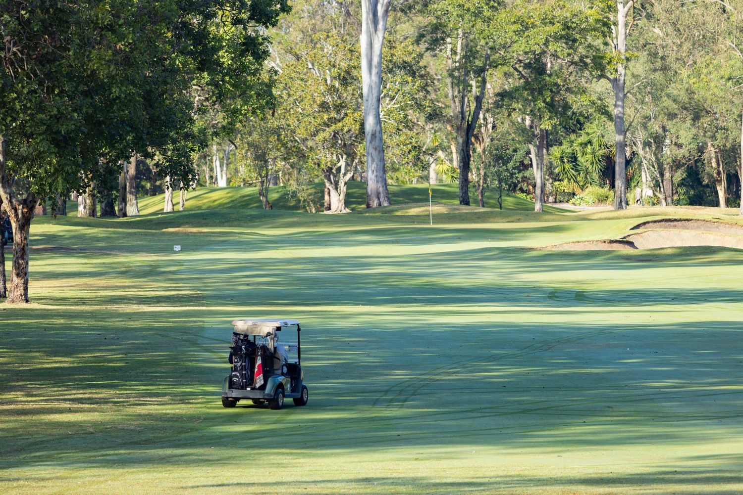 A golf cart sits on a lush green fairway surrounded by tall trees on a sunny day.