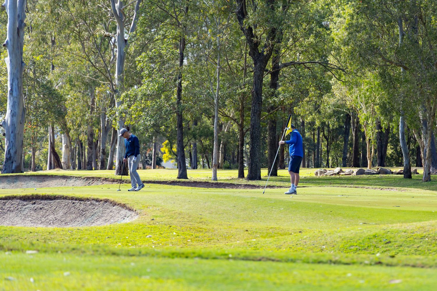 Two golfers playing near a sand bunker on a lush green golf course surrounded by tall trees on a sunny day.