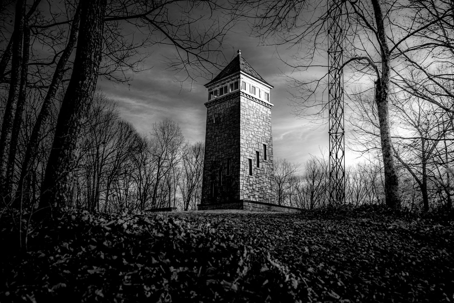 Eerie black and white image of a tall stone tower rising above leafless trees on an overcast day.