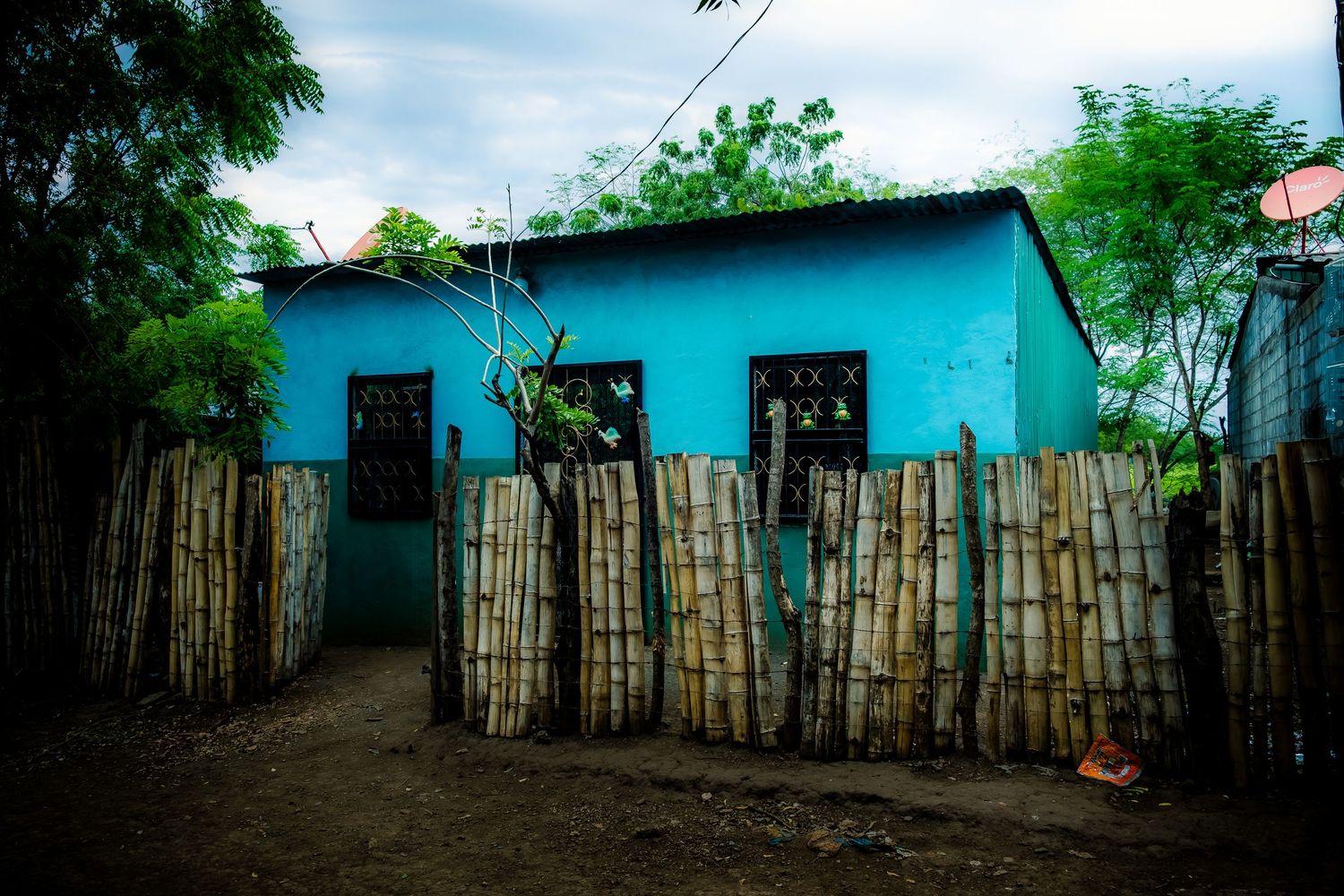 Colorful blue painted house with bamboo fence surrounded by tropical trees in a village.