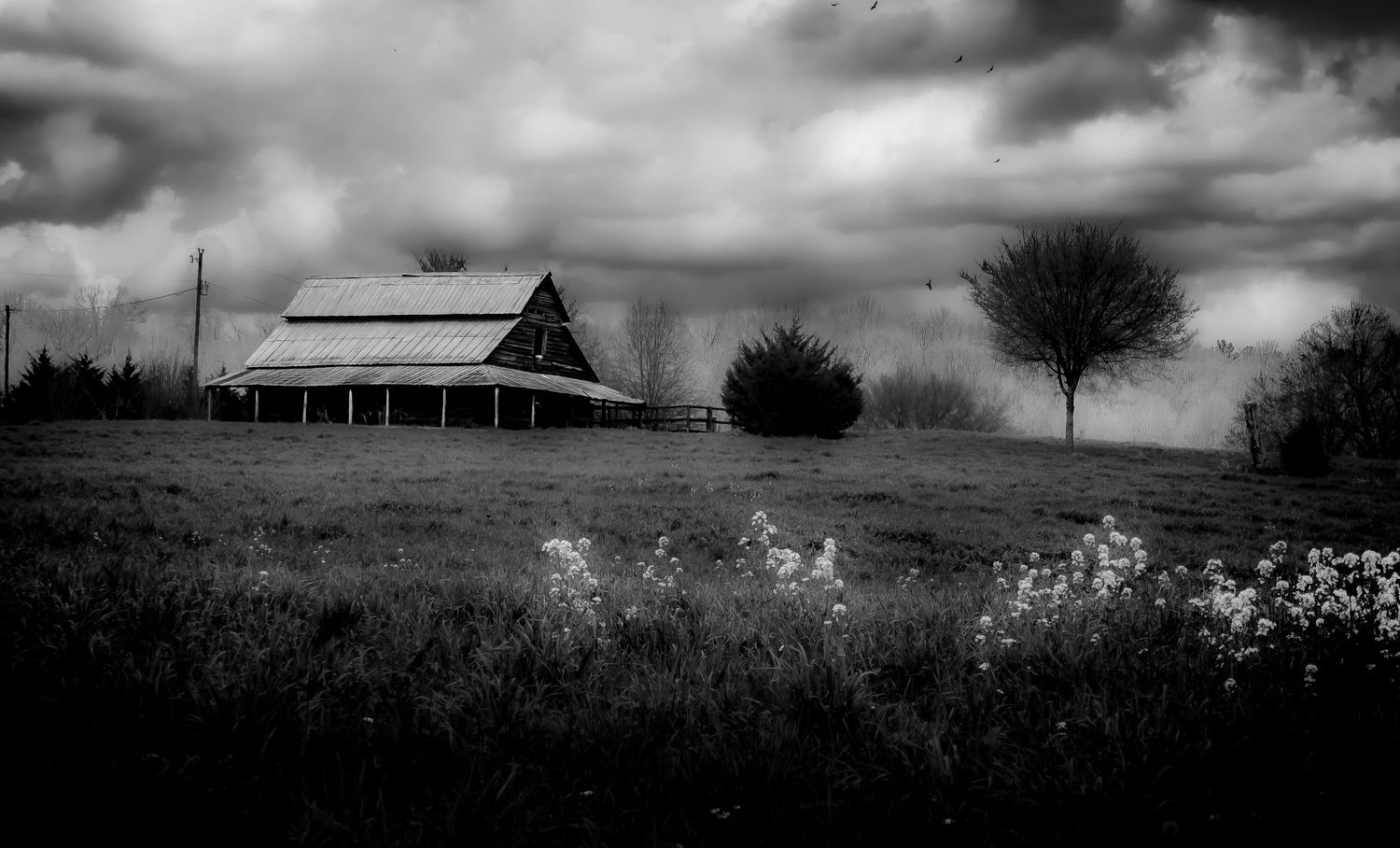 Dark dramatic black and white photo of a rustic barn on a field under stormy skies with wildflowers.