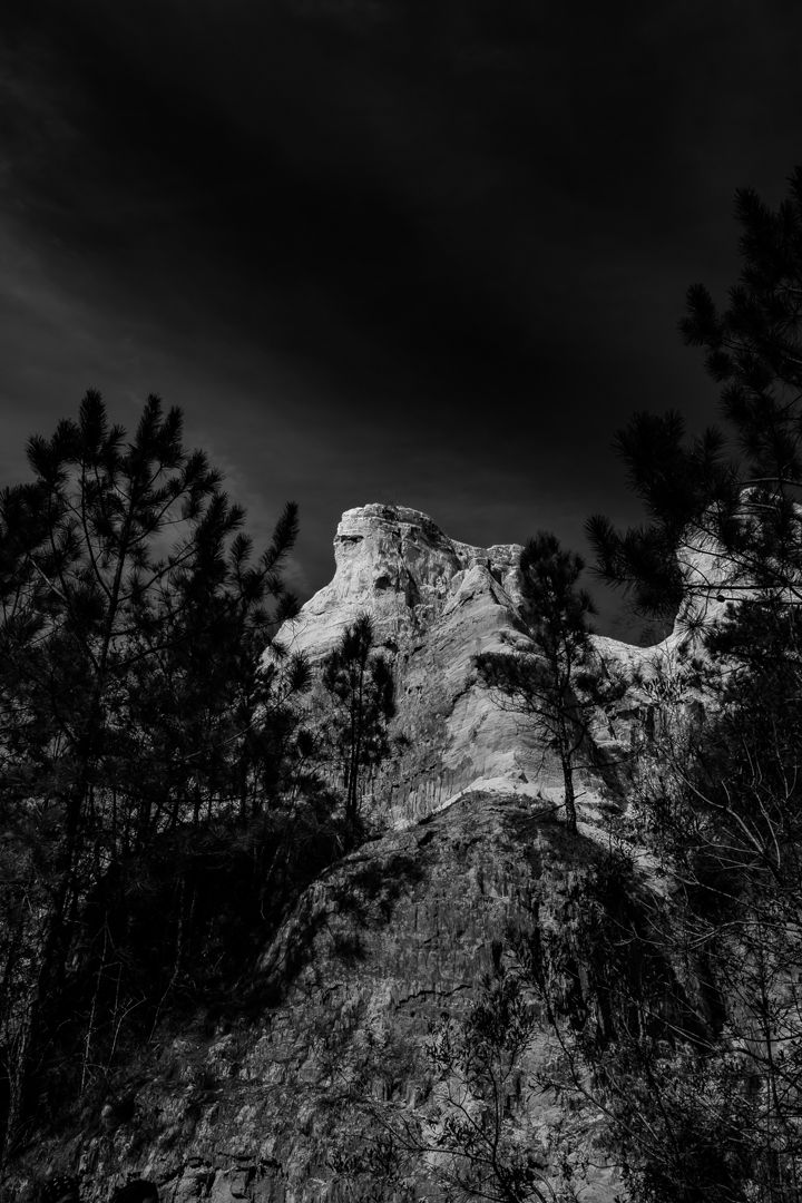 Tall white rock formation rises above pine trees in dramatic black and white.