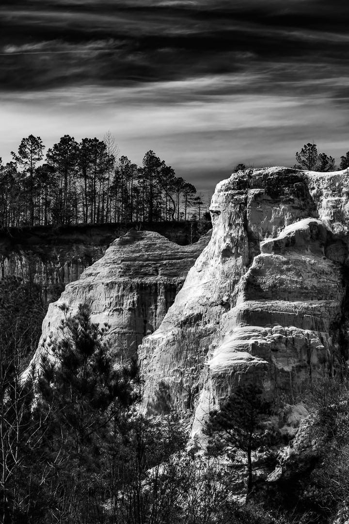 Black and white rocky cliff formations with tall pine trees against cloudy sky. Providence Canyon, Georgia Landscapes, Black and White Photo