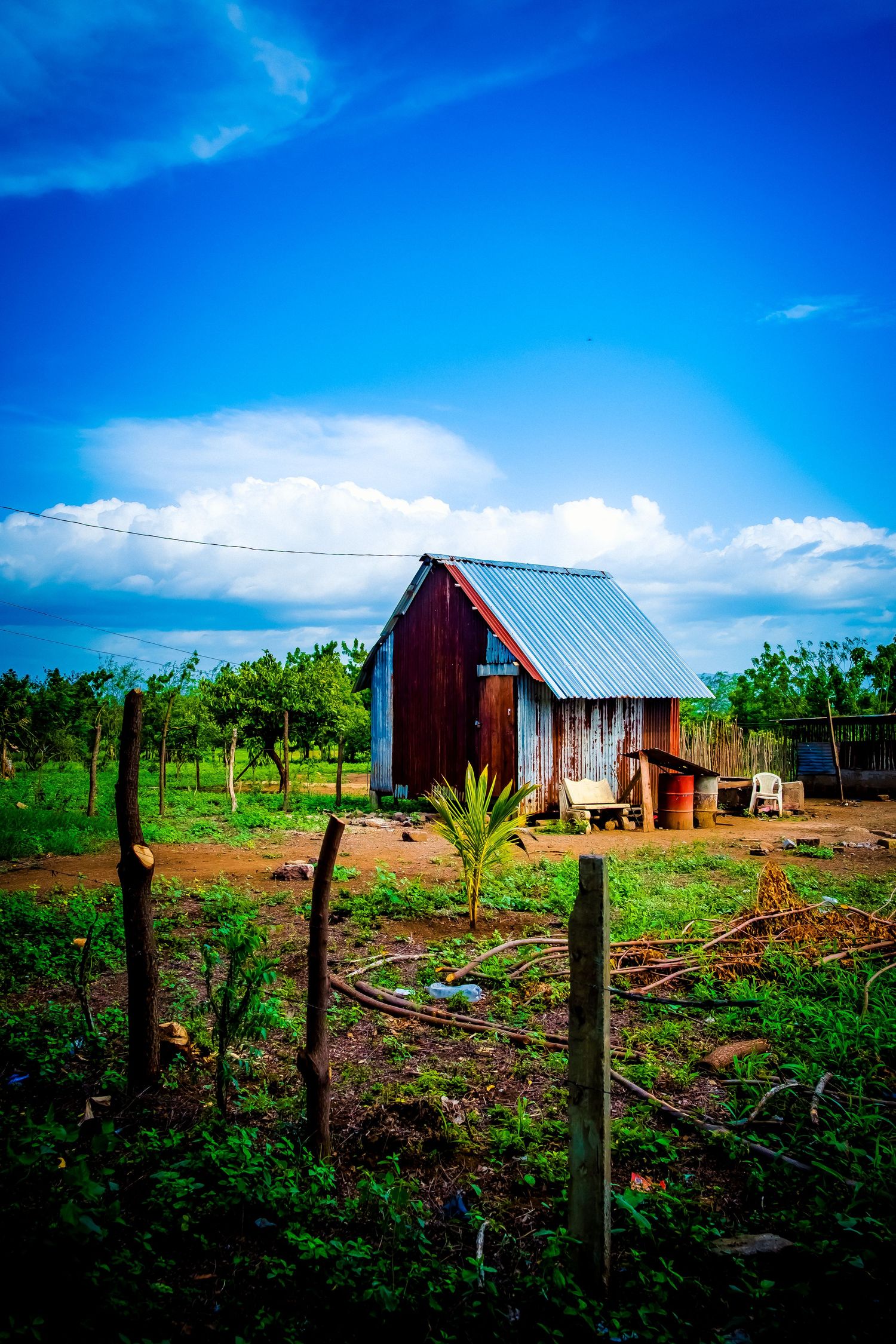 Rustic wooden farmhouse with metal roof surrounded by lush green vegetation under vivid blue sky in rural tropical setting.