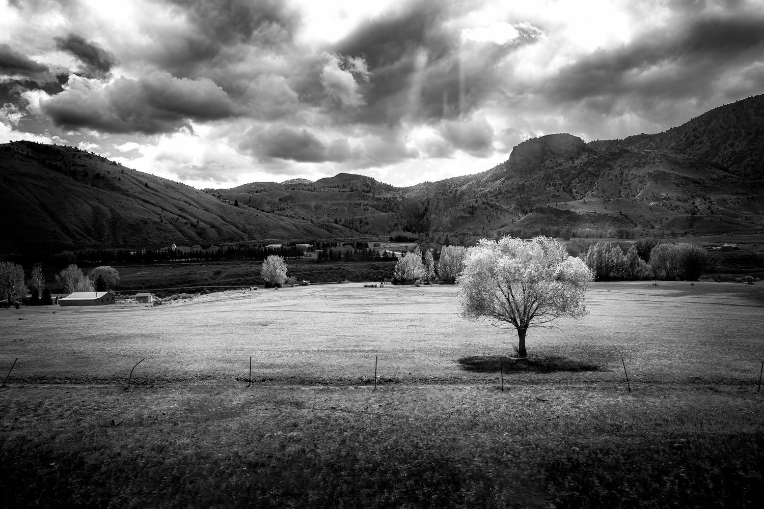 Black and white infrared landscape photo of a lone tree in a valley with mountains and dramatic clouds.