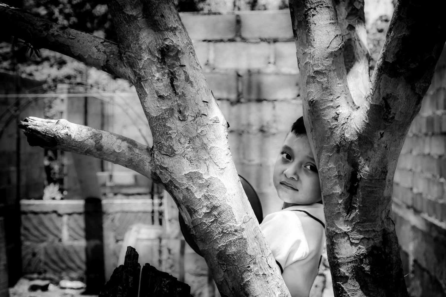 Young child peeking through tree branches with a brick wall in the background.