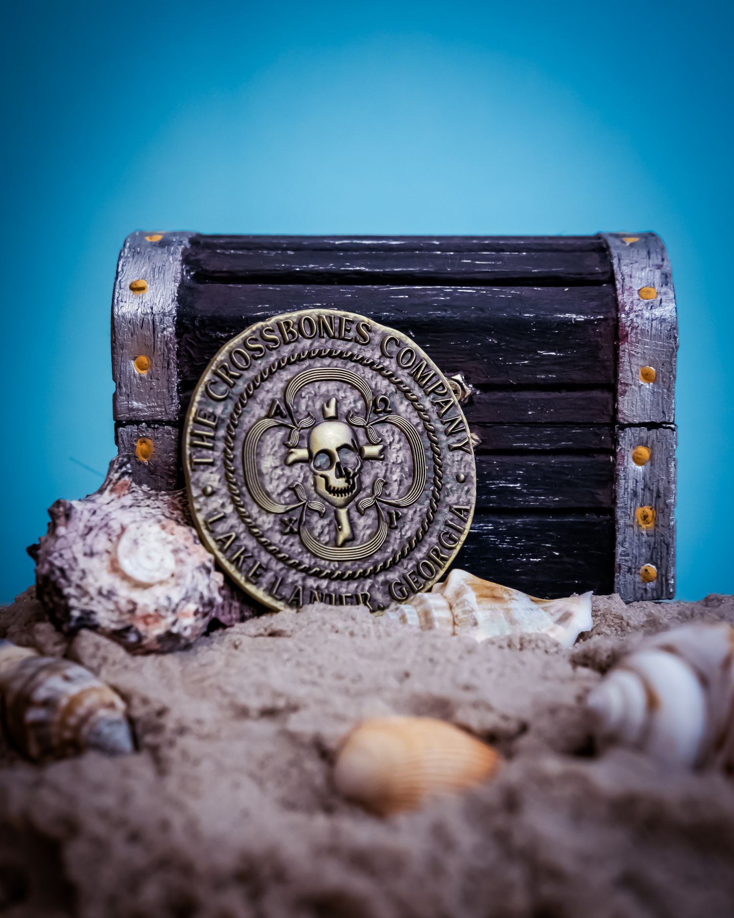 Pirate treasure chest with Crossbones Company gold coin medallion on sandy beach with seashells. Product photography. Branding materials