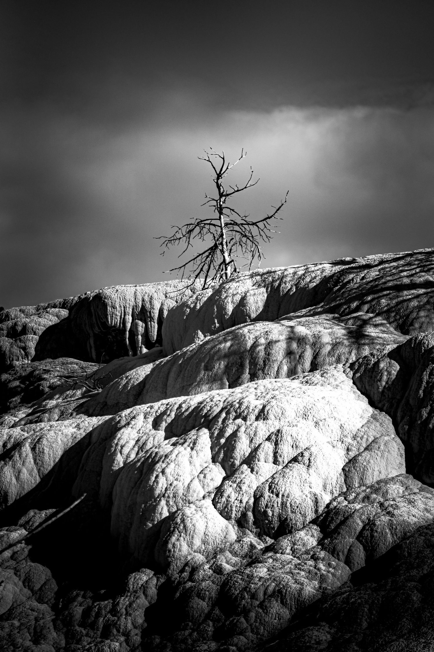 Solitary dead tree silhouetted atop layered mineral terraces against dramatic cloudy sky in black and white.