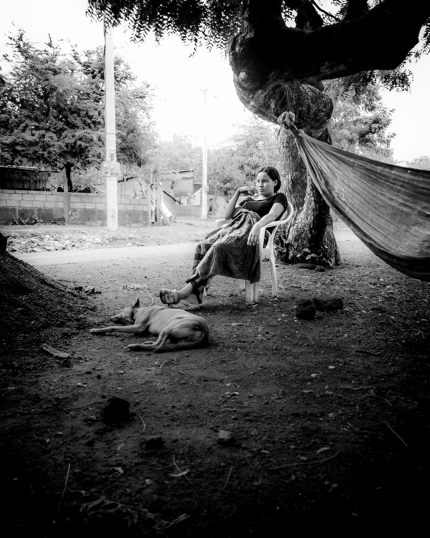Woman sitting in chair beside hammock with sleeping dog beneath a tree.