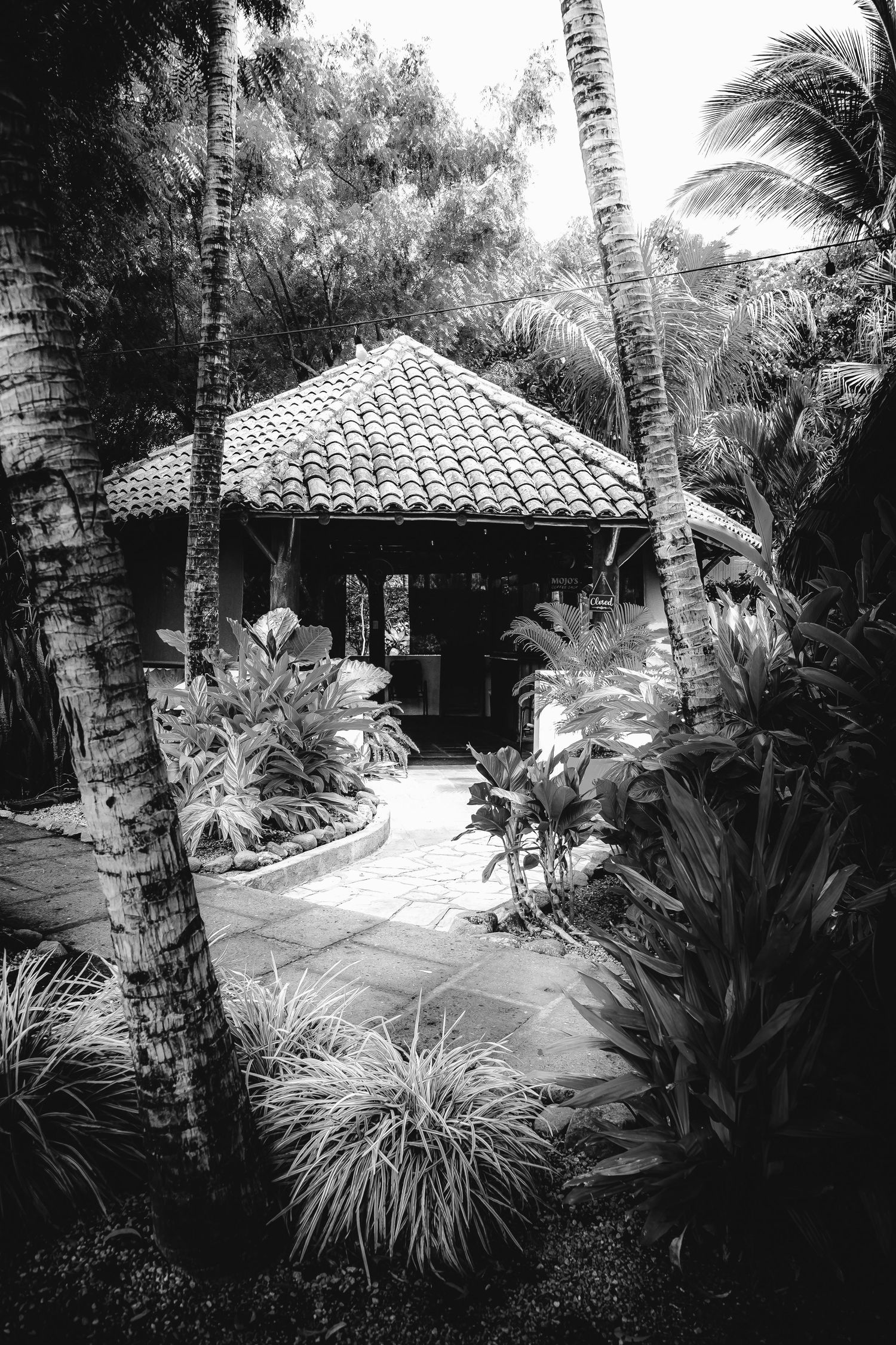 Black and white image of a tropical garden with lush plants surrounding a tiled-roof cottage. Real estate photographer north ga