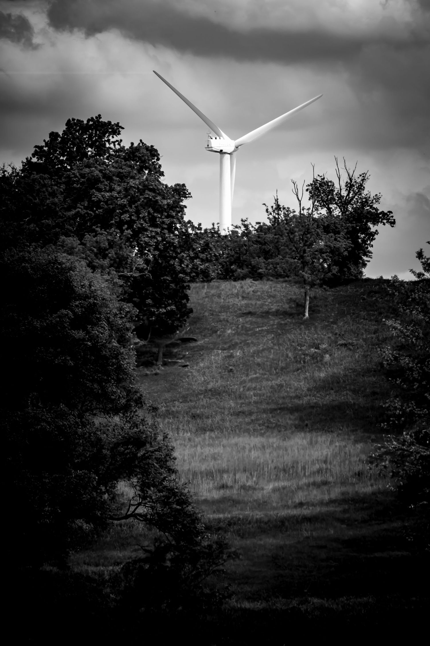 Black and white photo of a wind turbine rising above a tree-lined hill under dramatic storm clouds.