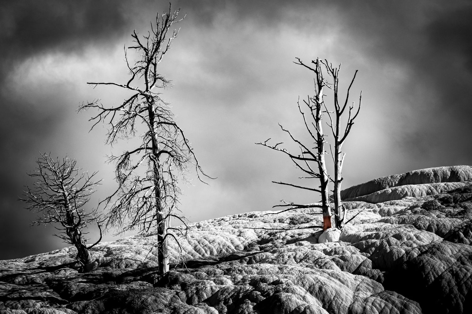 Dead bare trees stand on rugged mineral terraces under dramatic stormy skies in black and white landscape photography.