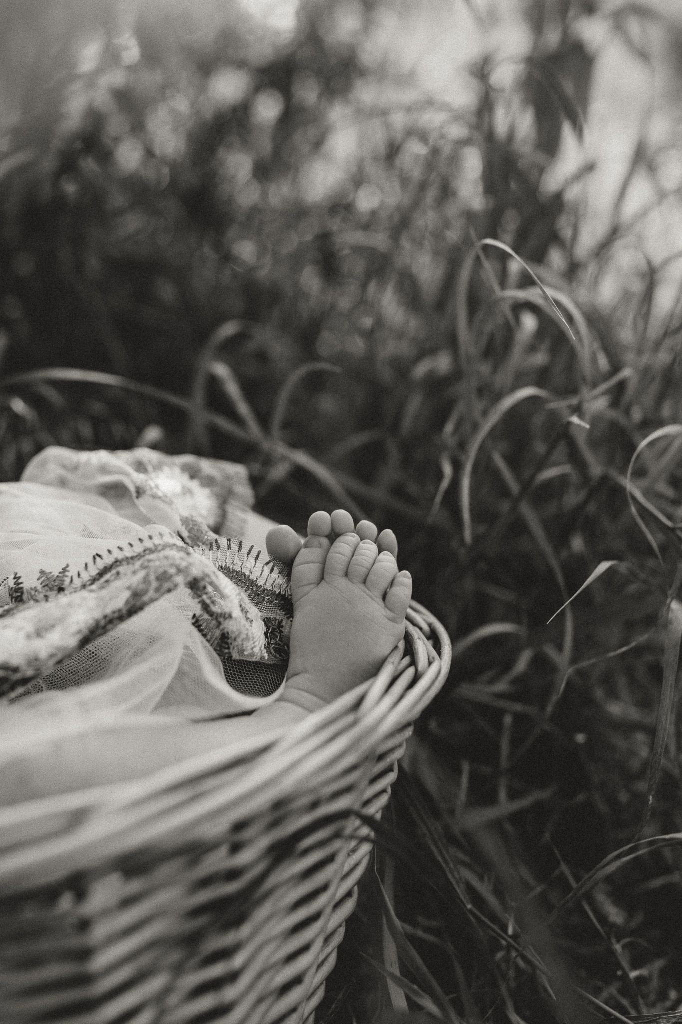Black and white photo of a baby's tiny feet peeking out of a wicker basket surrounded by tall grass.