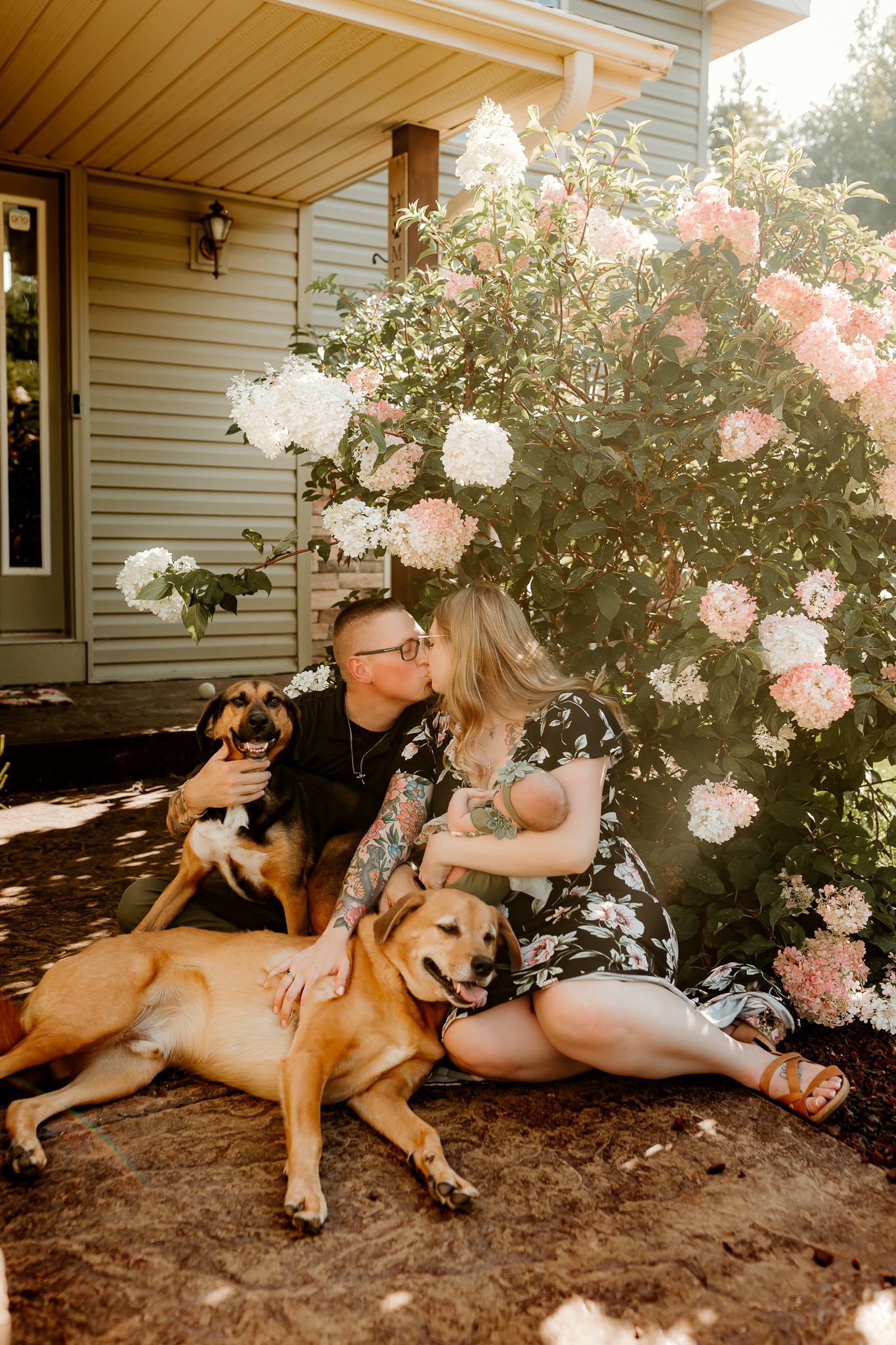 Couple kissing outdoors with two dogs beside flowering hydrangea bushes near a house.