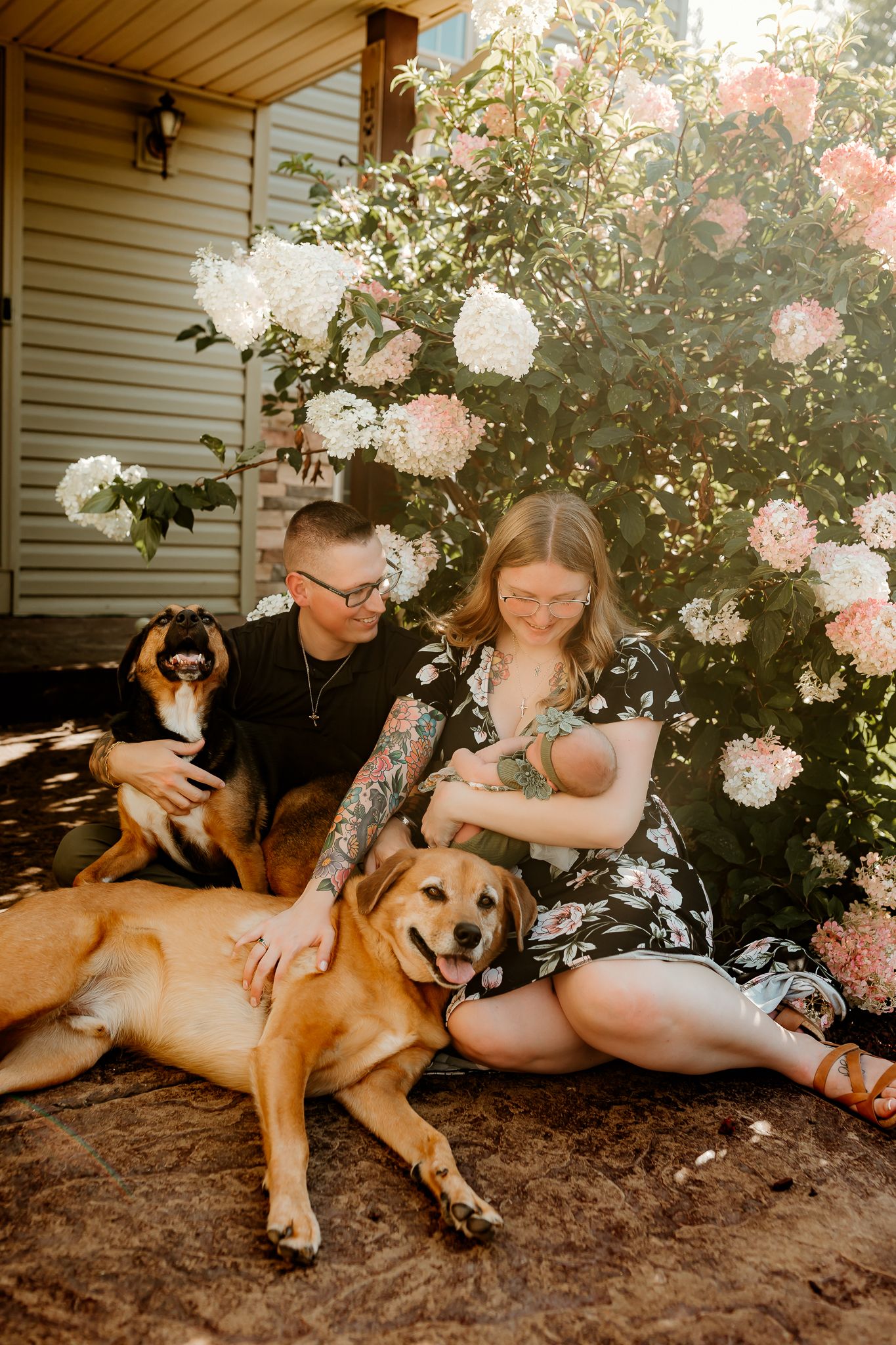 A couple sits with two dogs in front of a blooming hydrangea bush, as the woman holds a newborn baby.