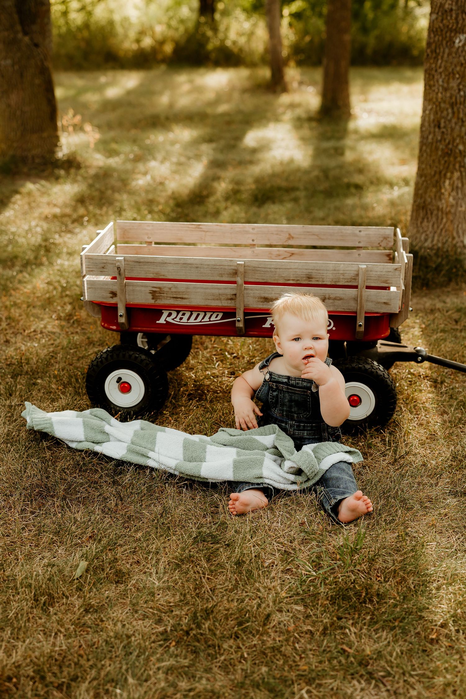 A baby sits on a plaid blanket in grass beside a red Radio Flyer wagon outdoors.
