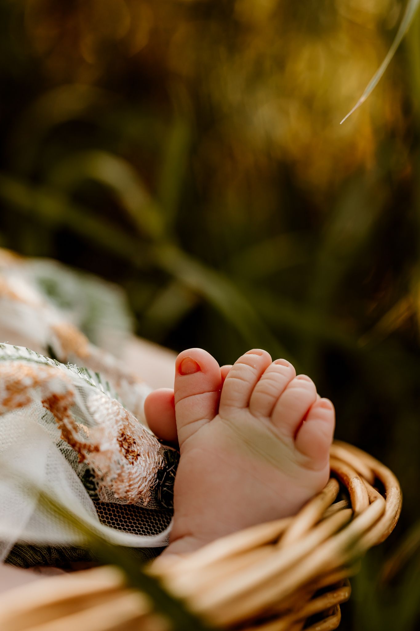 Tiny newborn baby feet resting in a wicker basket outdoors with soft bokeh green foliage background.