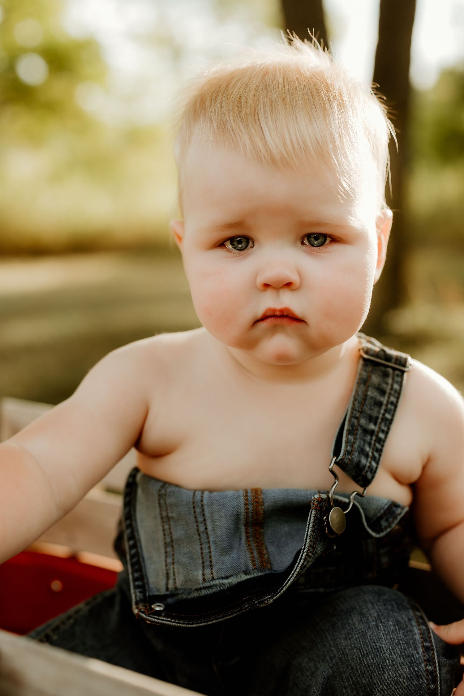 Adorable baby in denim overalls with a pouty expression sitting outdoors in warm golden sunlight.