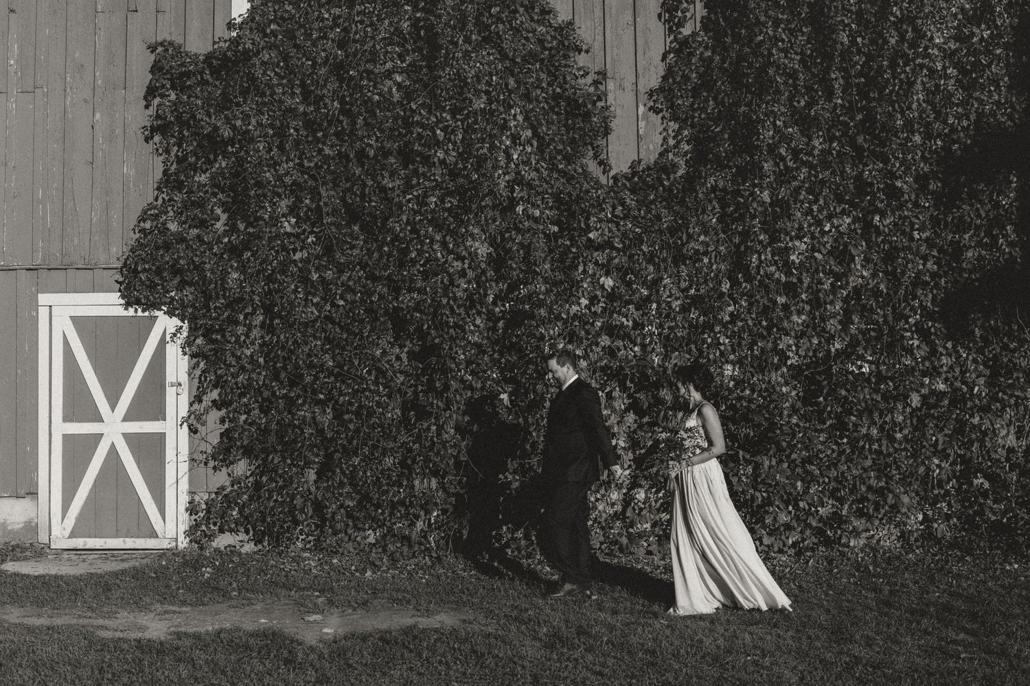 Black and white photo of a bride and groom walking hand in hand past an ivy-covered barn wall with a white X-brace door.