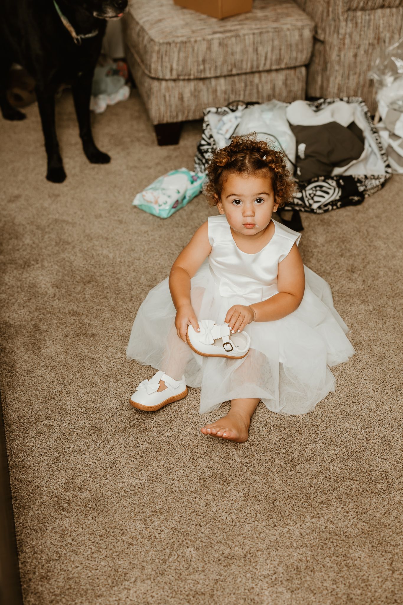 Toddler girl in a white tulle dress sits barefoot on beige carpet holding a white shoe, with a dark dog and a bag nearby.