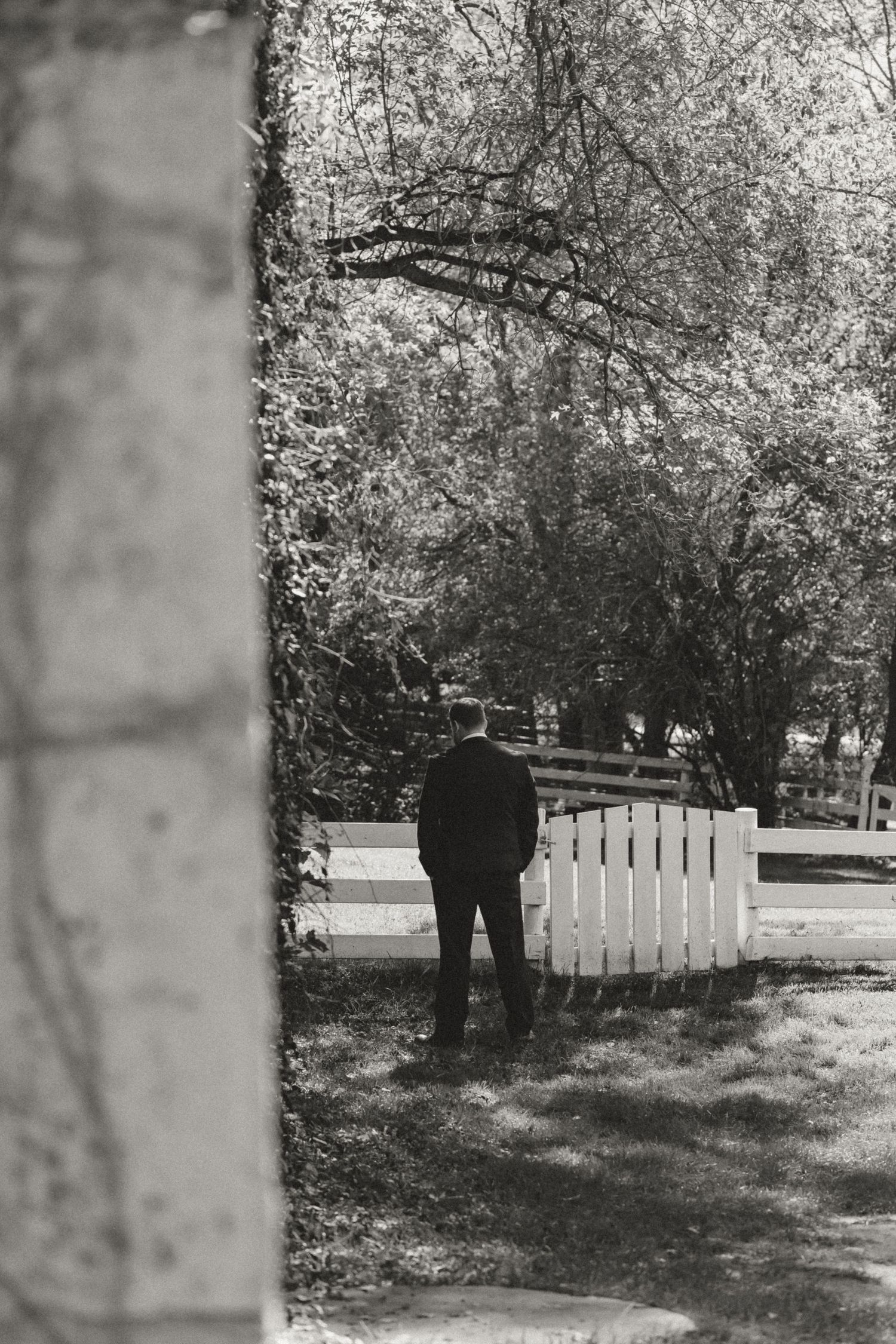 Black and white photo of a man in a dark suit standing with his back to the camera beside a white picket fence under leafy trees.