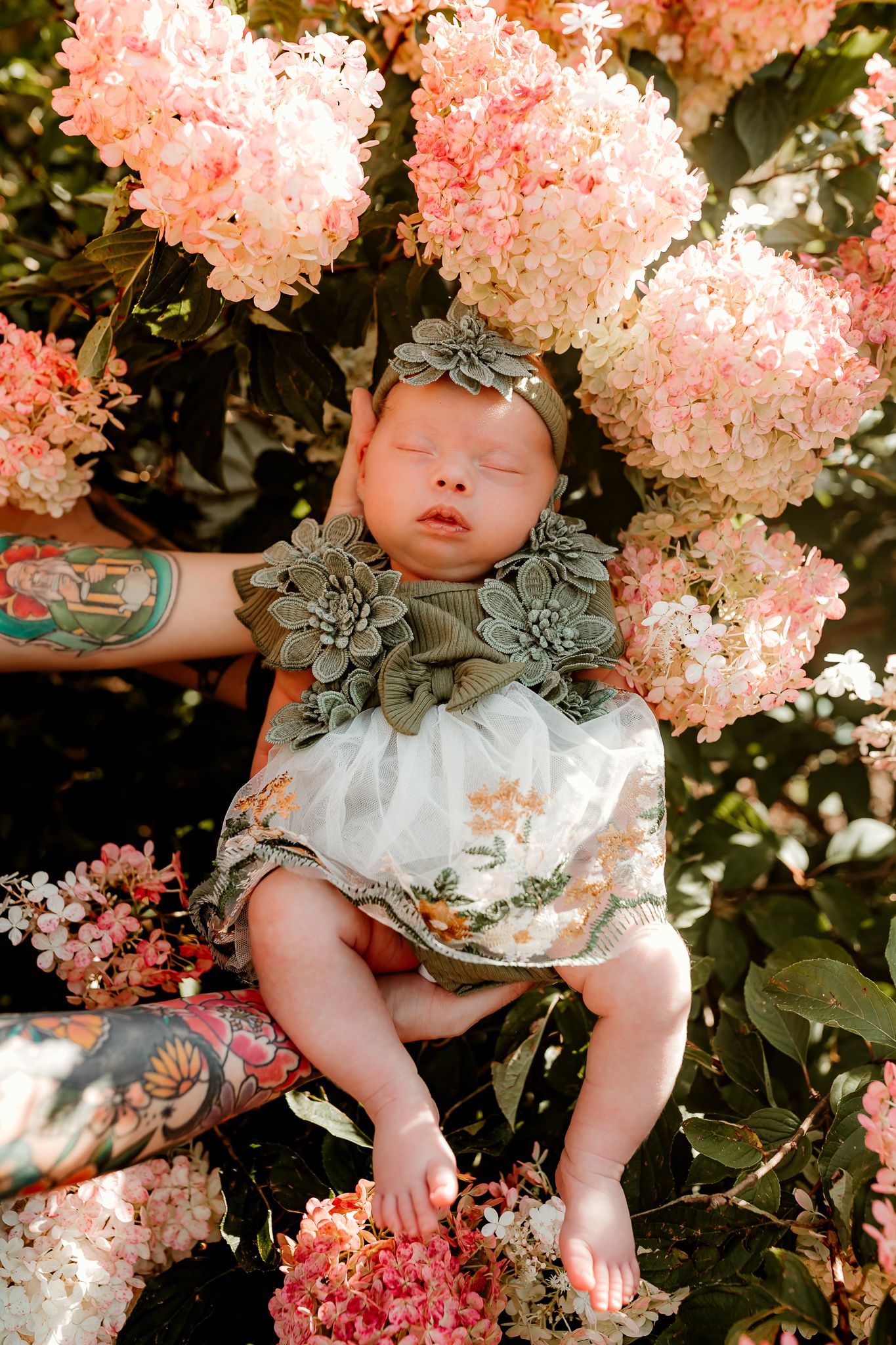 Sleeping newborn baby girl in floral dress and headband nestled among pink hydrangea blooms outdoors.
