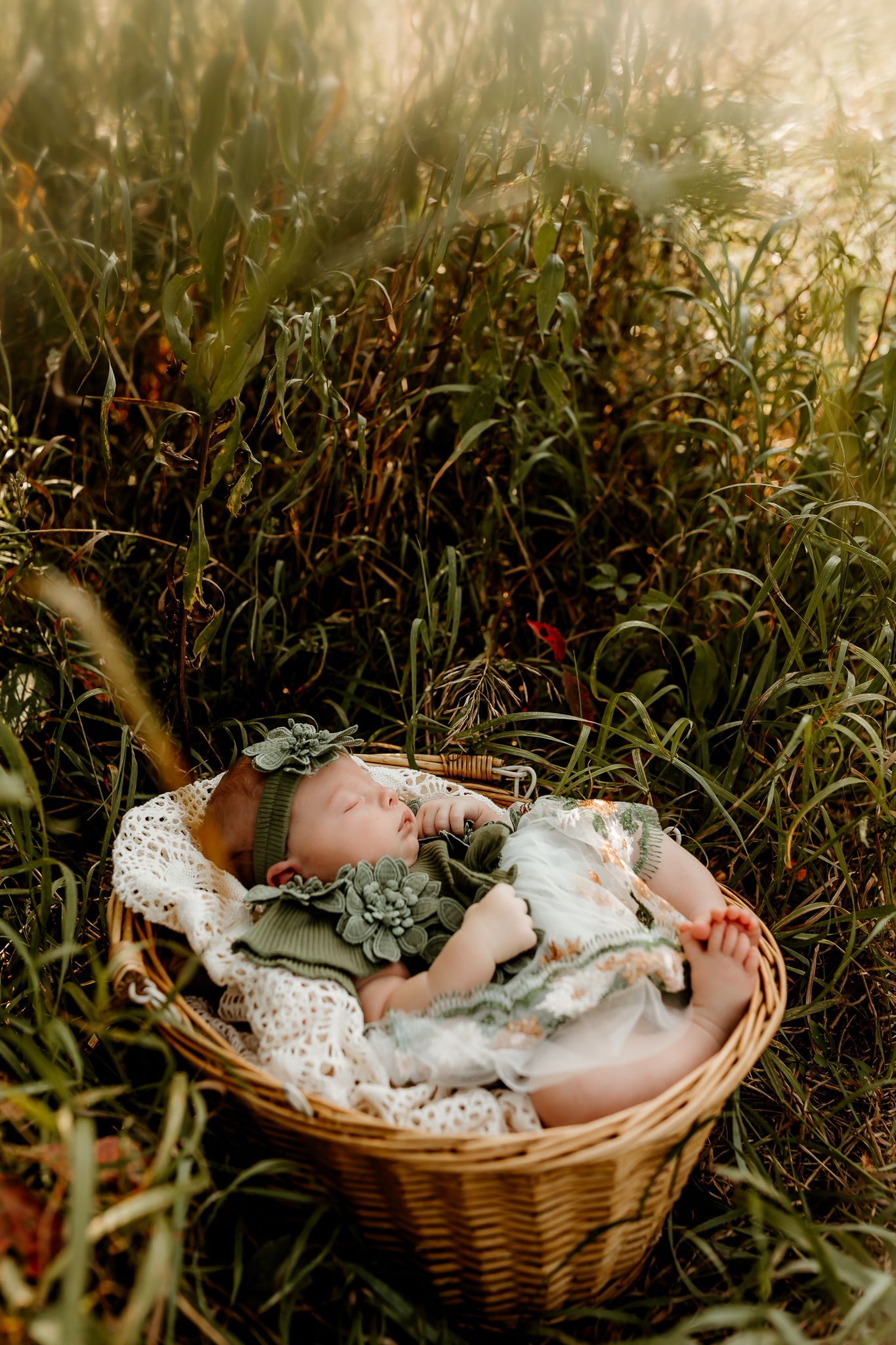 Newborn baby sleeping peacefully in a wicker basket surrounded by lush green grass in golden sunlight.