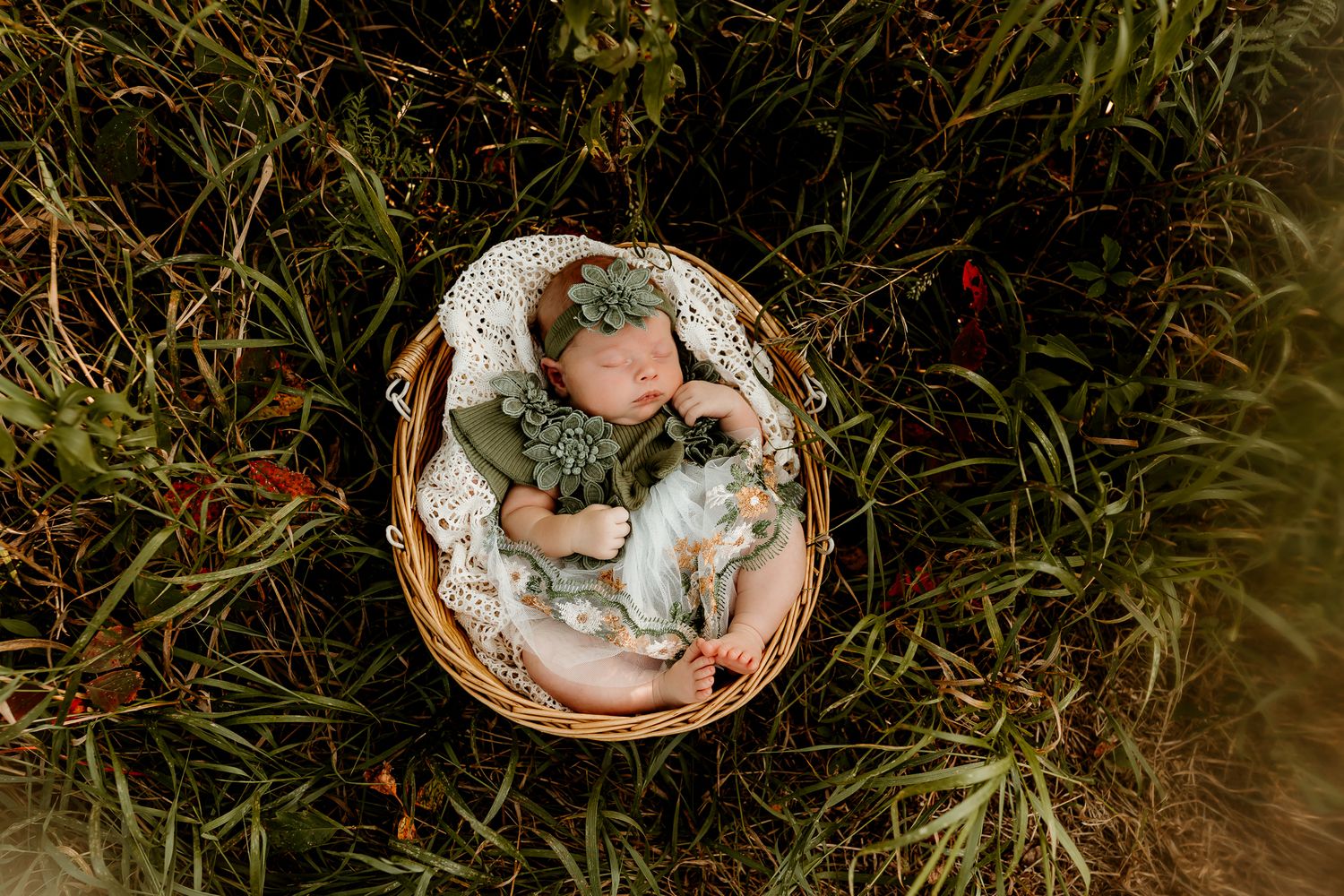 Newborn baby sleeping in a wicker basket lined with lace, dressed in green, surrounded by lush grass.