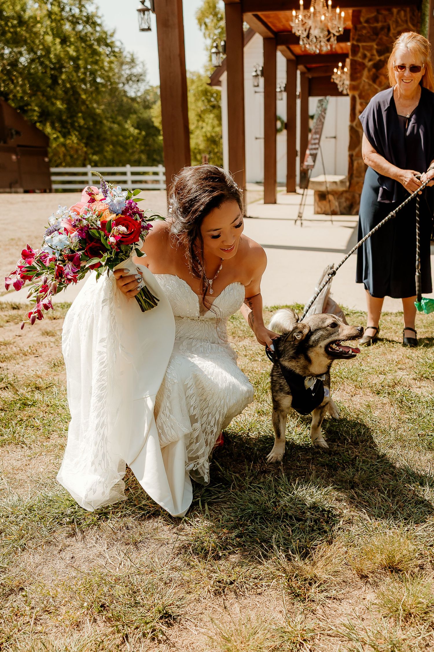 Bride in white lace gown holds colorful bouquet while petting a dog on a leash at an outdoor wedding venue.