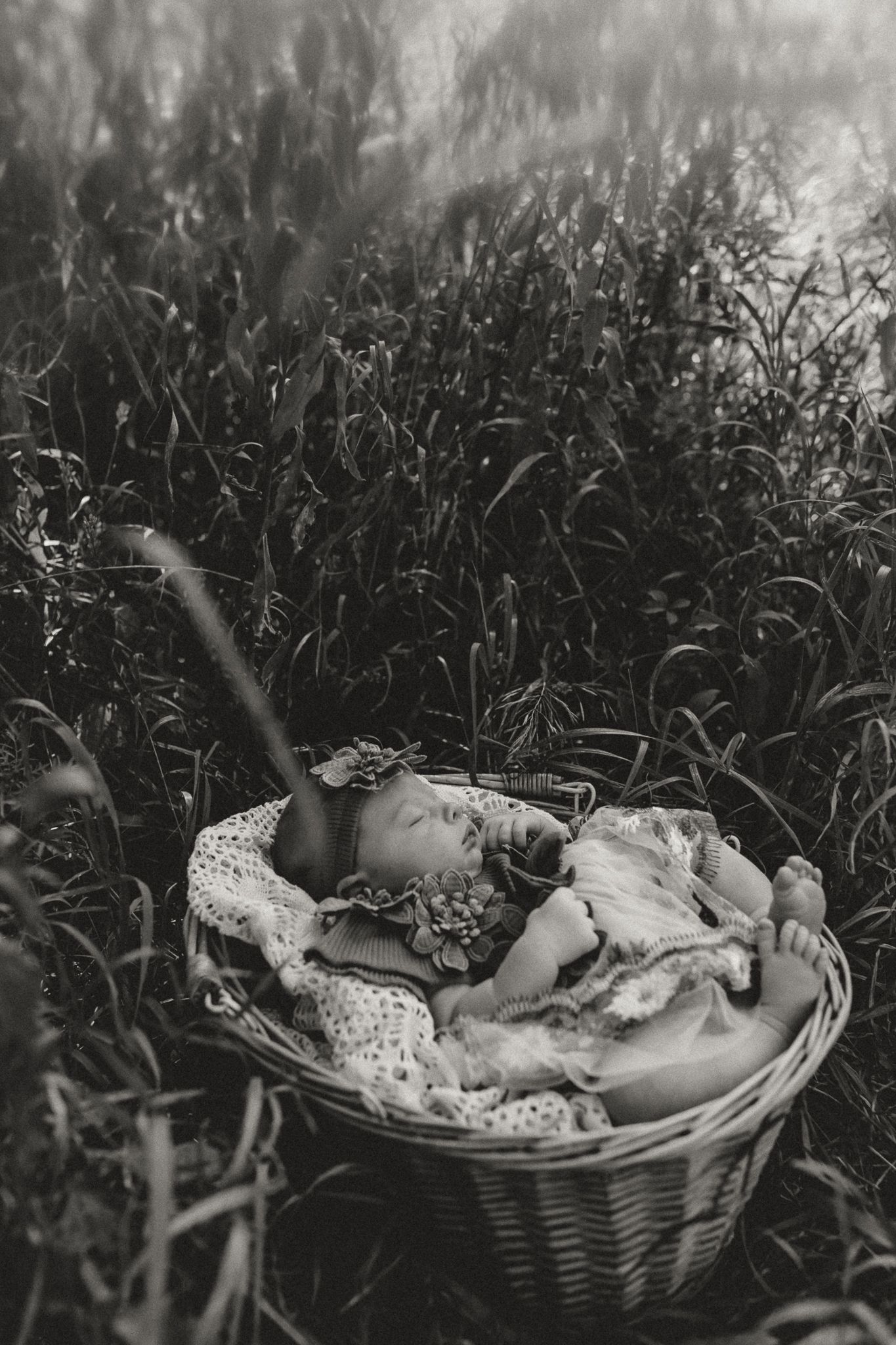 Black and white photo of a sleeping newborn baby in a wicker basket surrounded by tall grass outdoors.