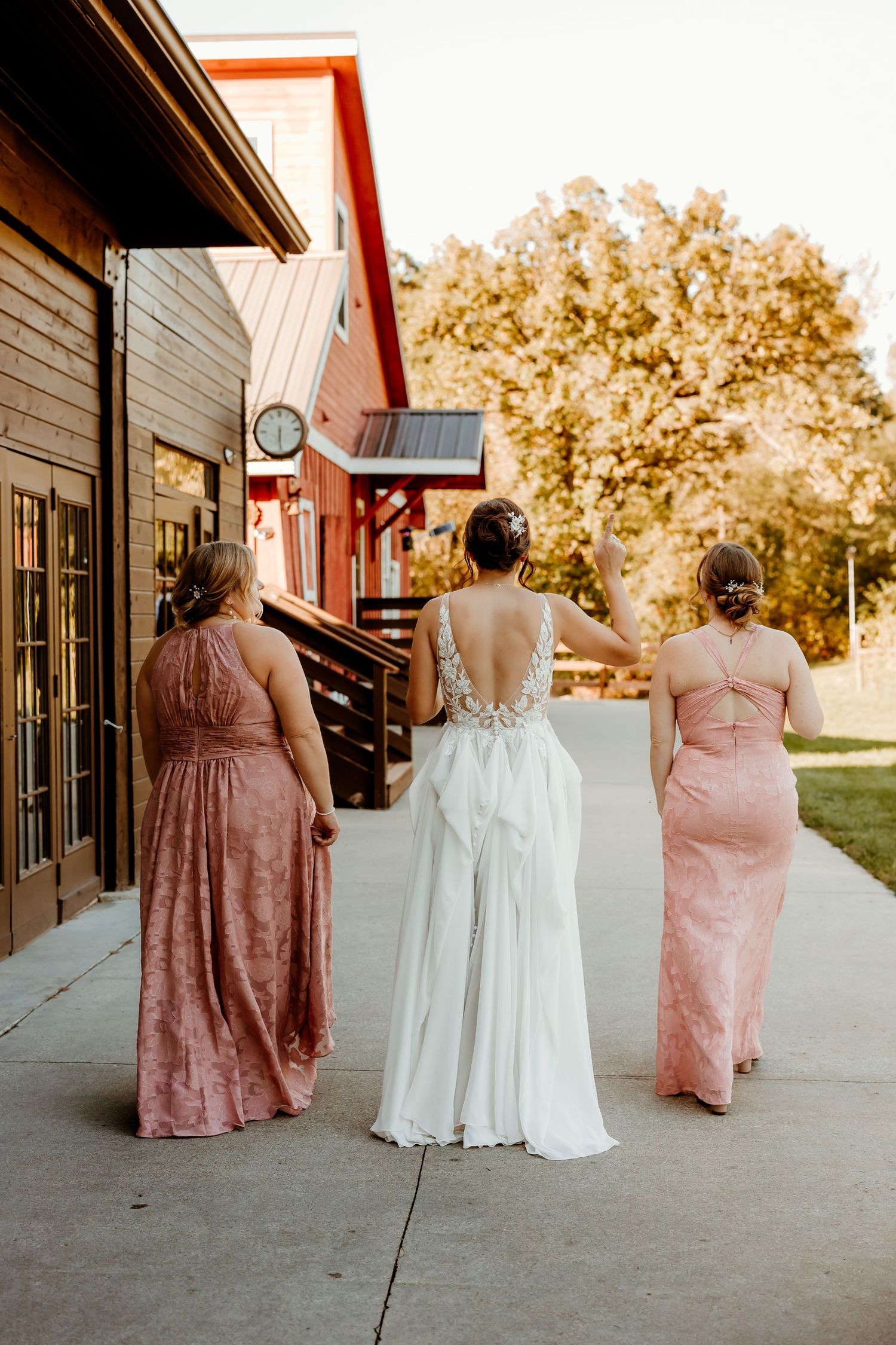 Bride in a white backless wedding gown walks away with two bridesmaids in blush pink dresses past a red barn venue on a sunny day.