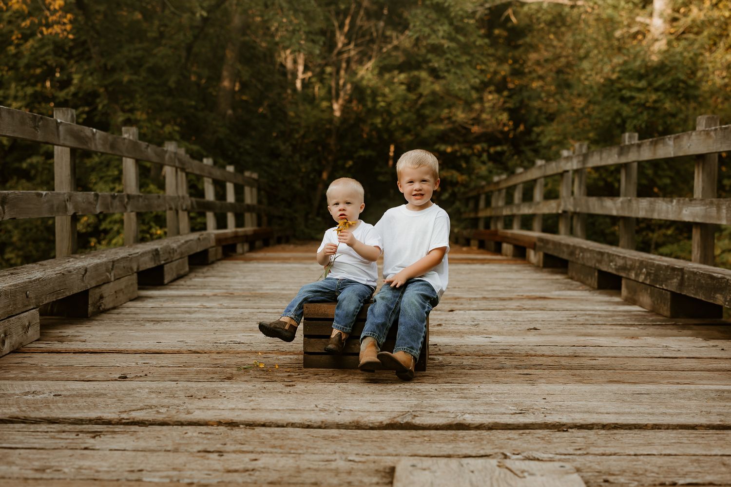 Two young boys sitting together on a wooden bridge surrounded by lush green trees.