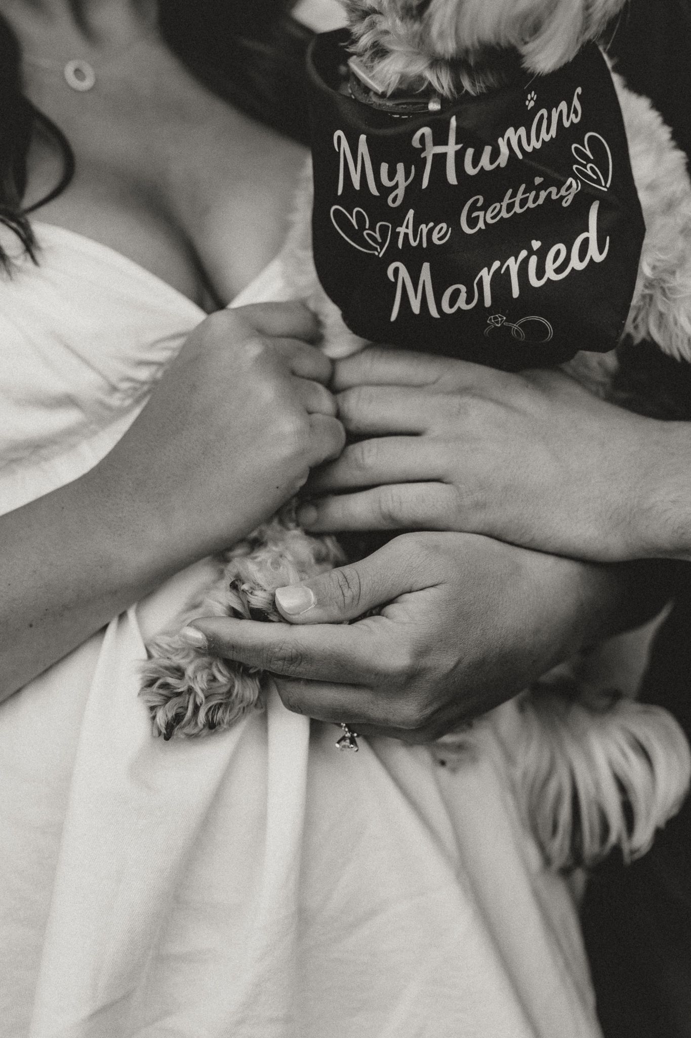 A couple holds their small dog wearing a black bandana reading My Humans Are Getting Married, in black and white.