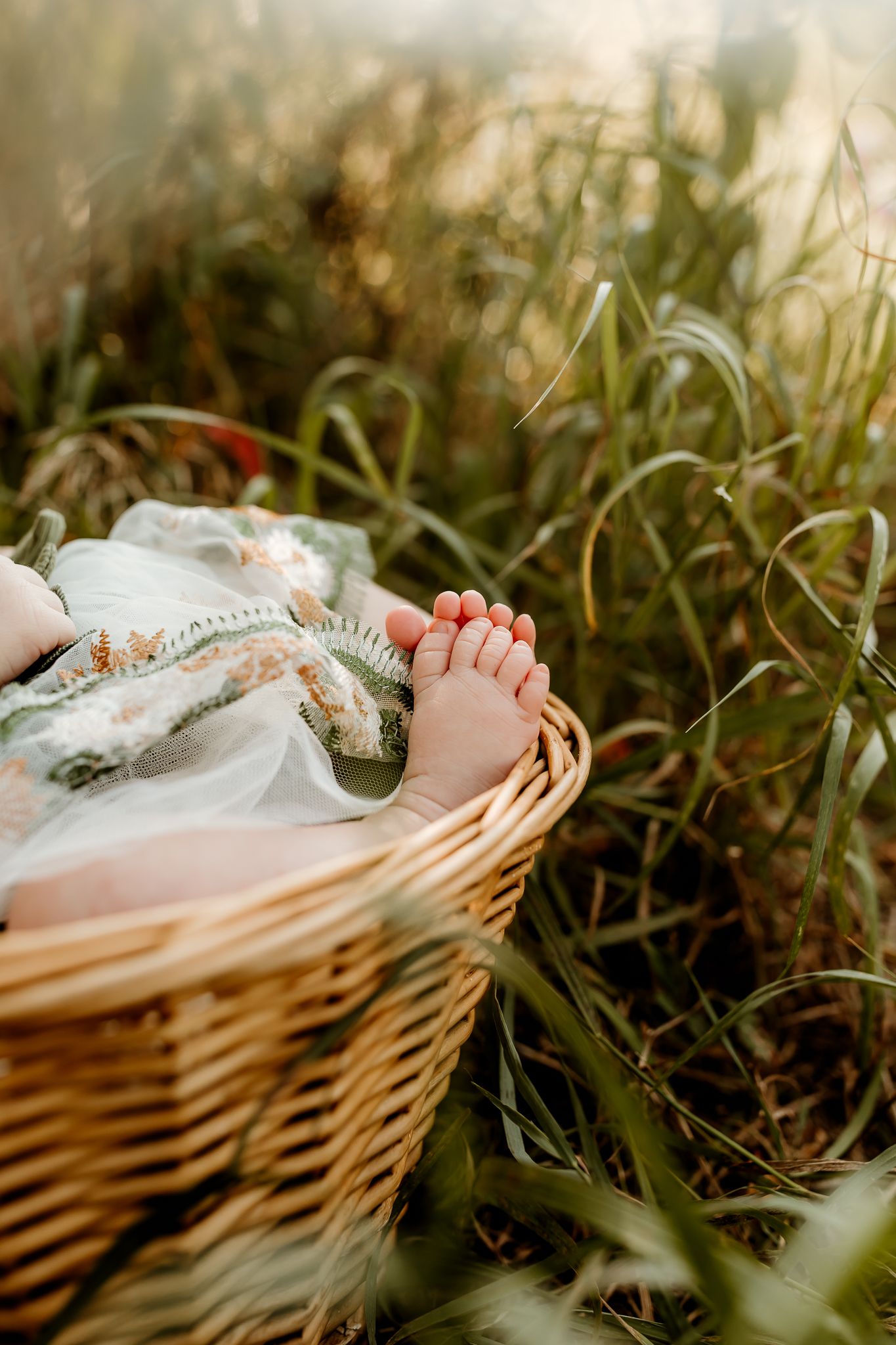 Tiny newborn baby feet peeking out of a wicker basket surrounded by lush green grass in soft natural light.