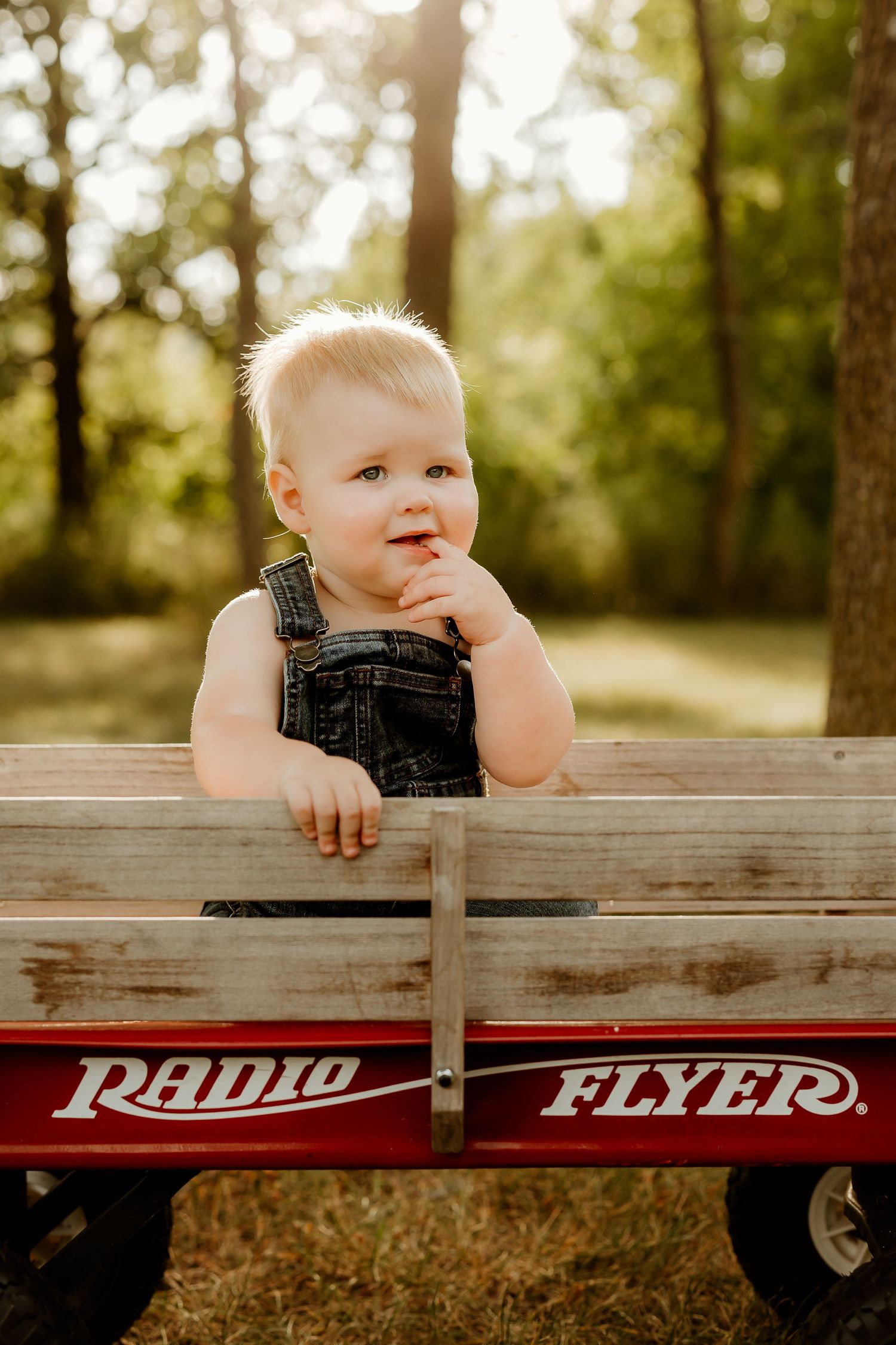 Blonde toddler in denim overalls sitting in a red Radio Flyer wagon outdoors in a sunny green park.