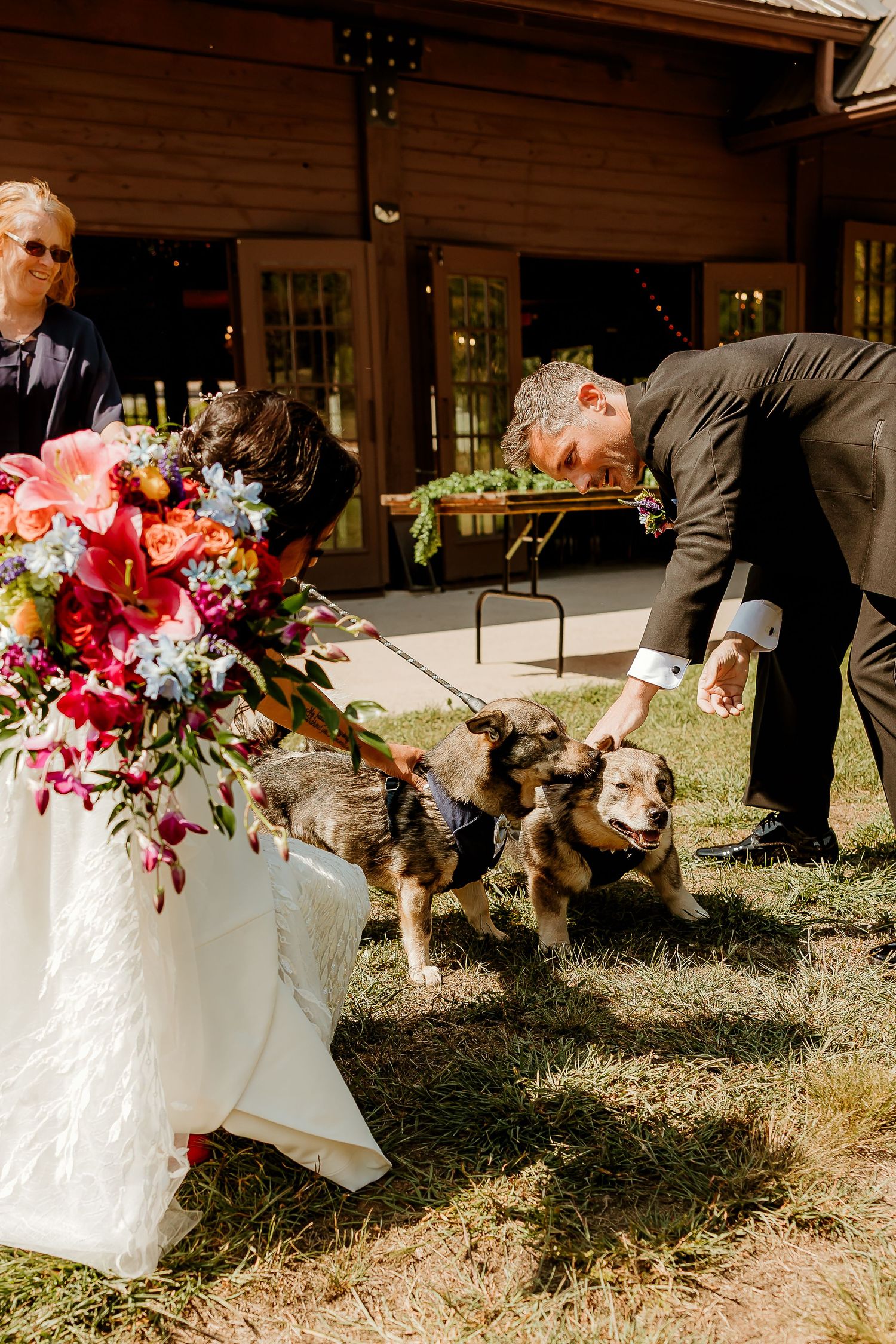 Bride with colorful bouquet and groom in suit petting two small dogs on leashes at outdoor wedding venue.