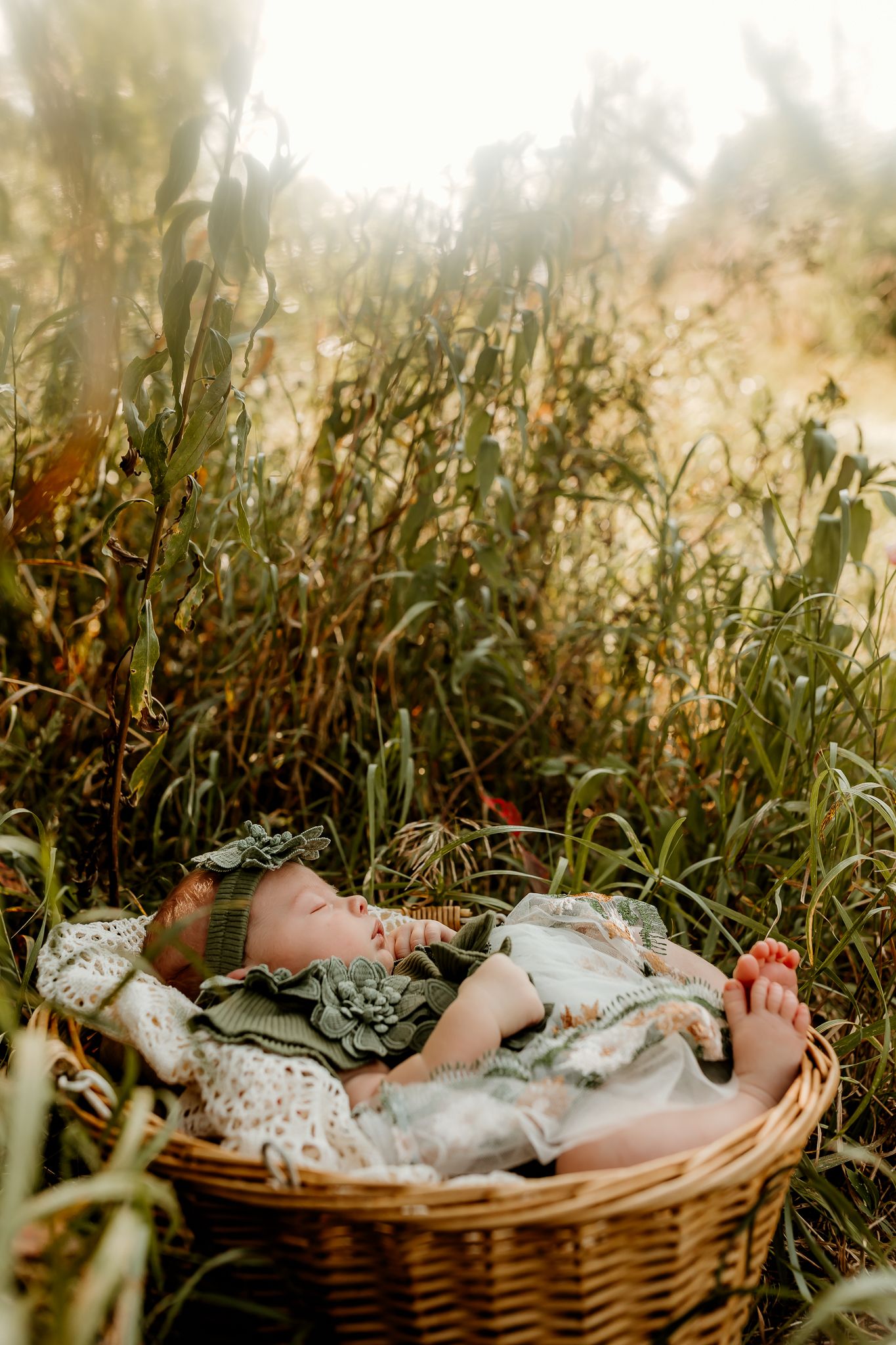 Sleeping newborn baby in green outfit and hat resting in wicker basket surrounded by tall grass outdoors.