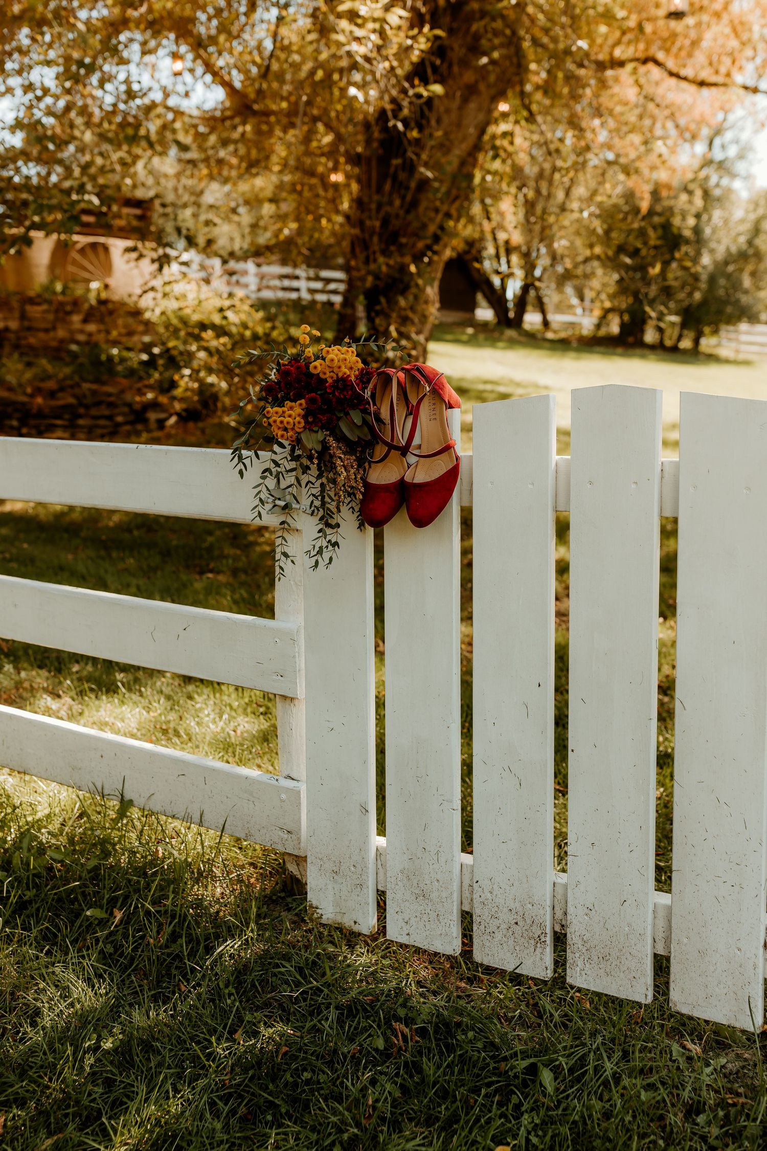 Red flats and a bouquet of autumn flowers hang on a white picket fence beside a grassy yard with golden fall trees.