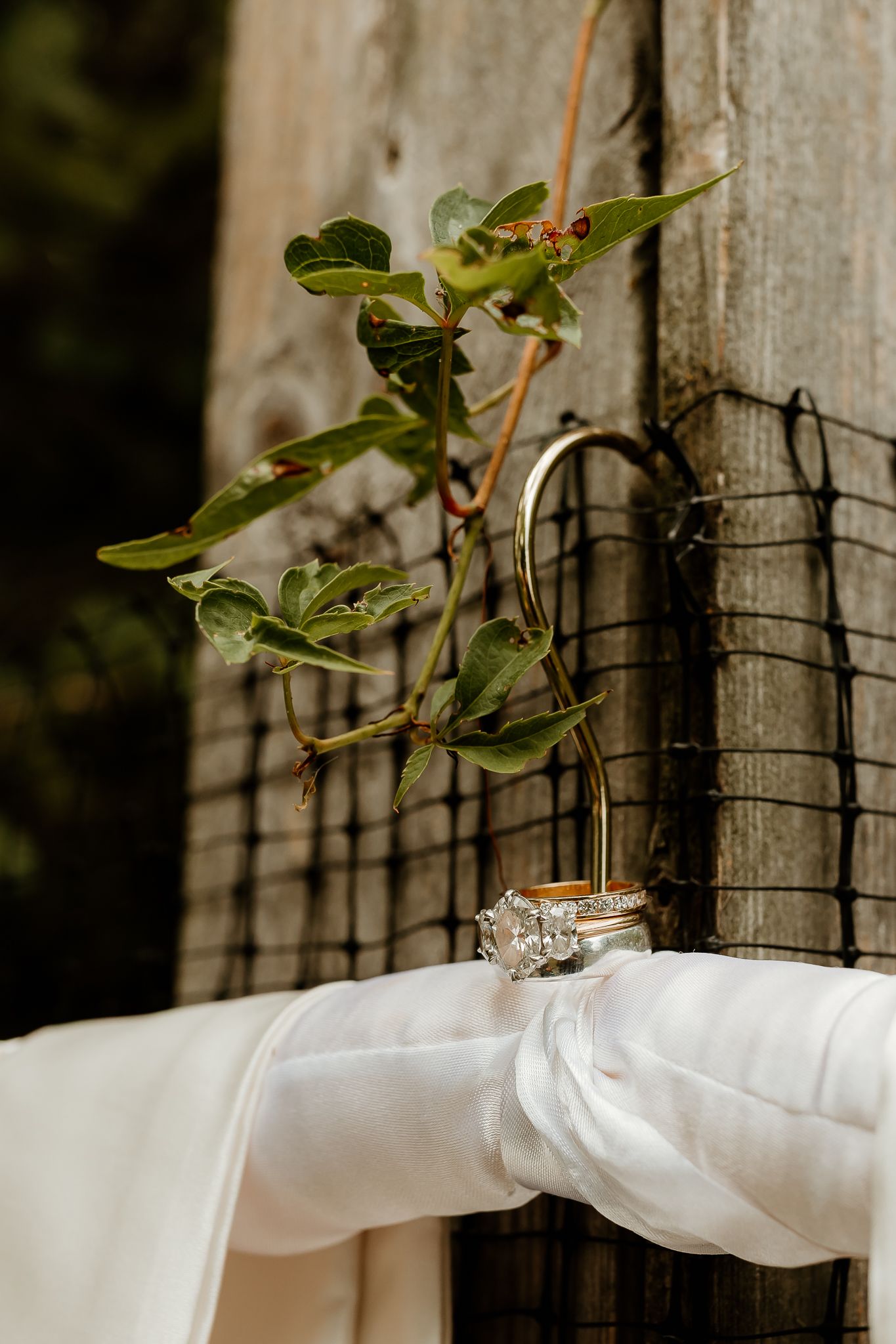 Wedding rings displayed on white fabric tied to a rustic wooden fence post with wire mesh and green vine leaves.