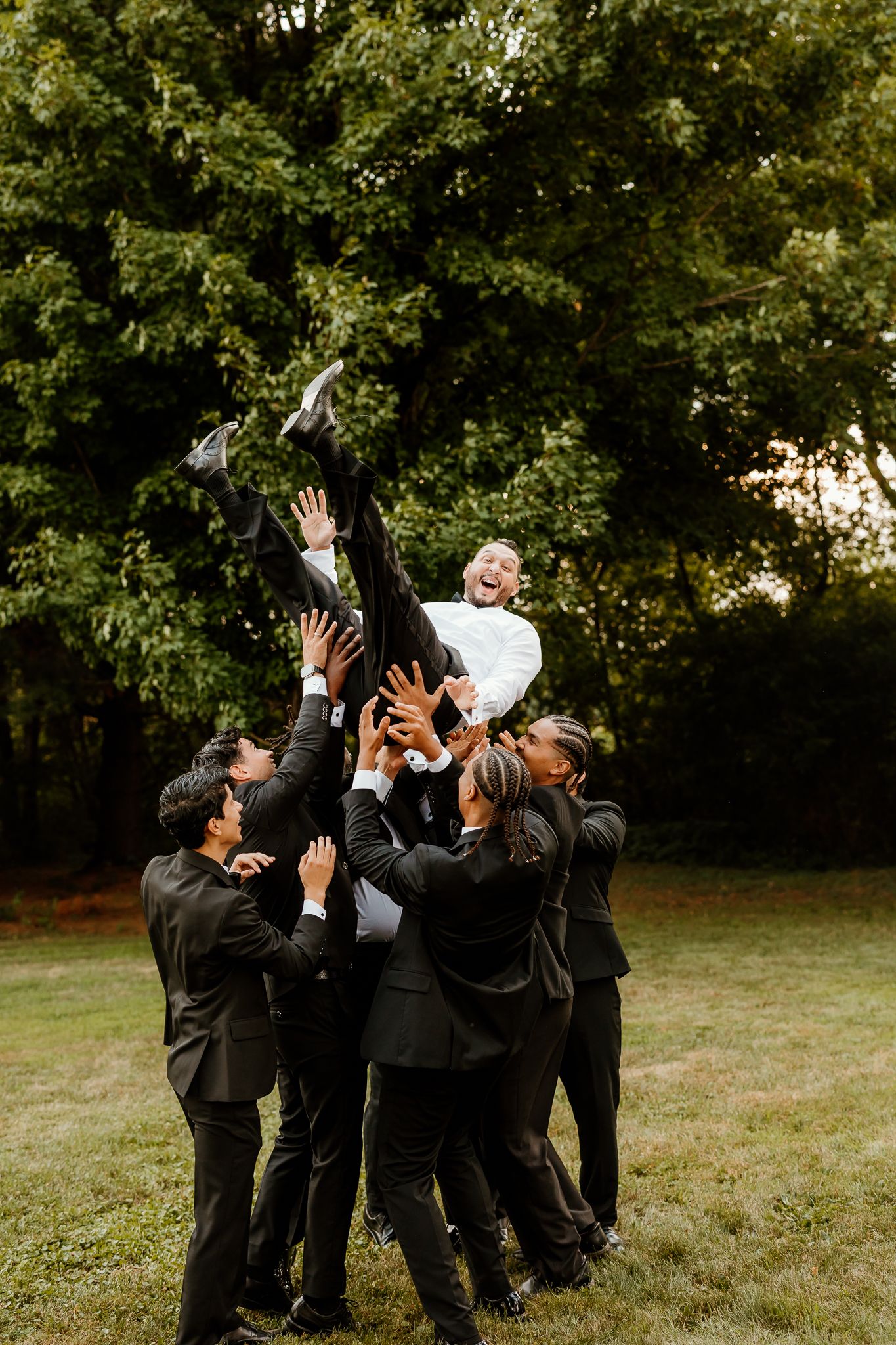 Groomsmen tossing a laughing groom into the air outdoors, wearing dark suits, with lush green trees in the background.