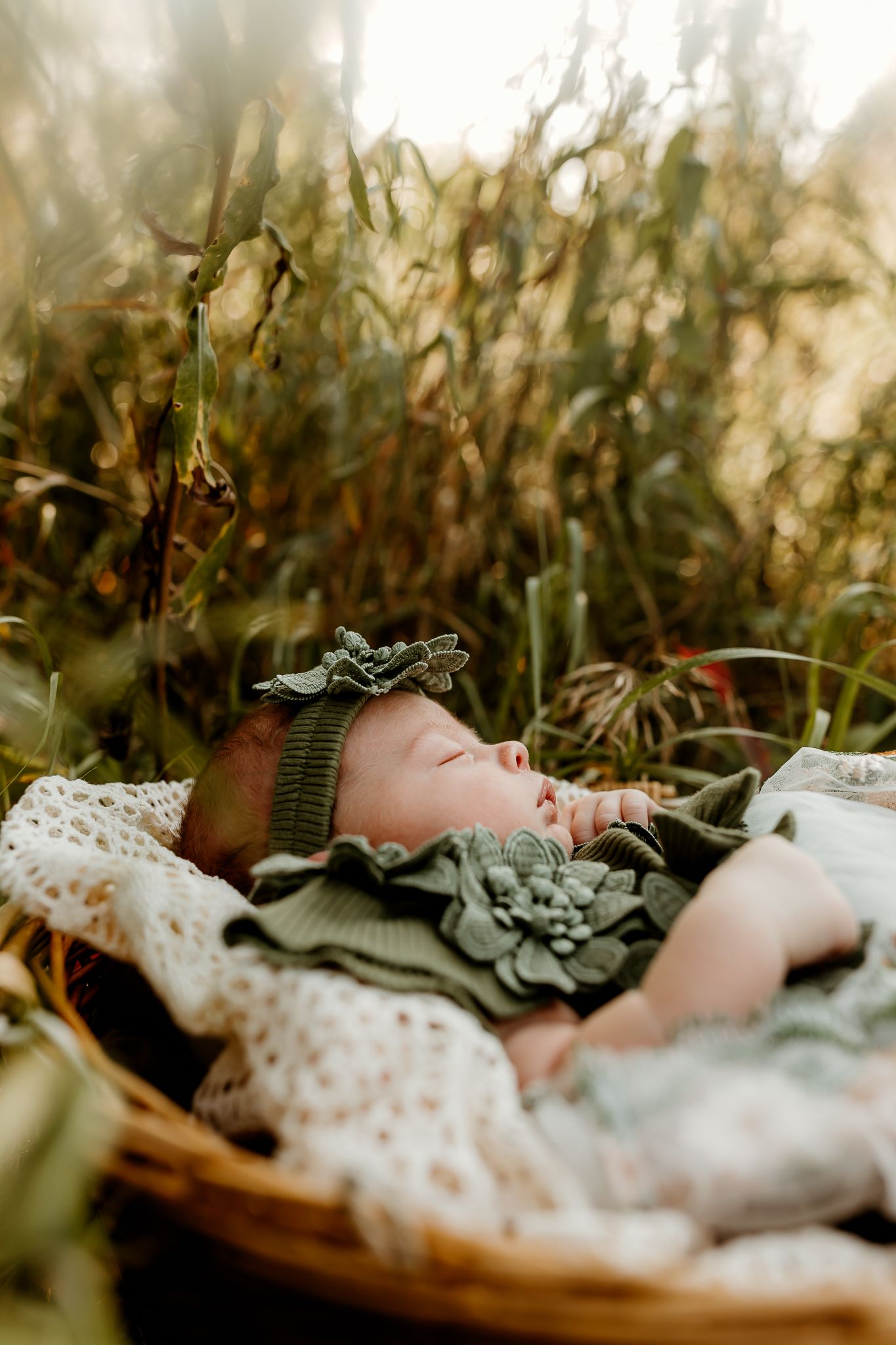 Newborn baby sleeping peacefully in a wicker basket outdoors, wearing a green floral outfit and hat, surrounded by tall grass.